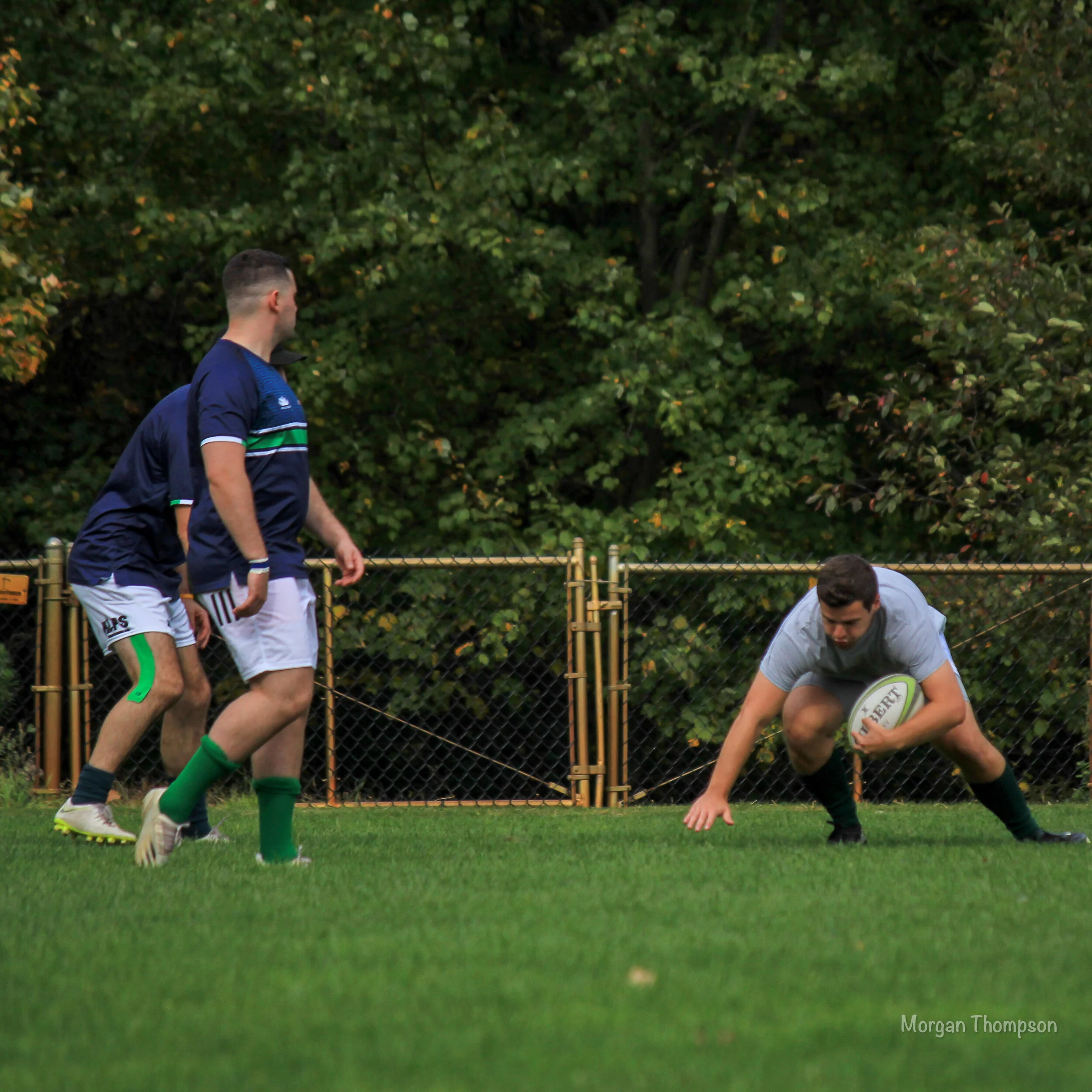 Home Wolfhounds 20211016-11.JPG