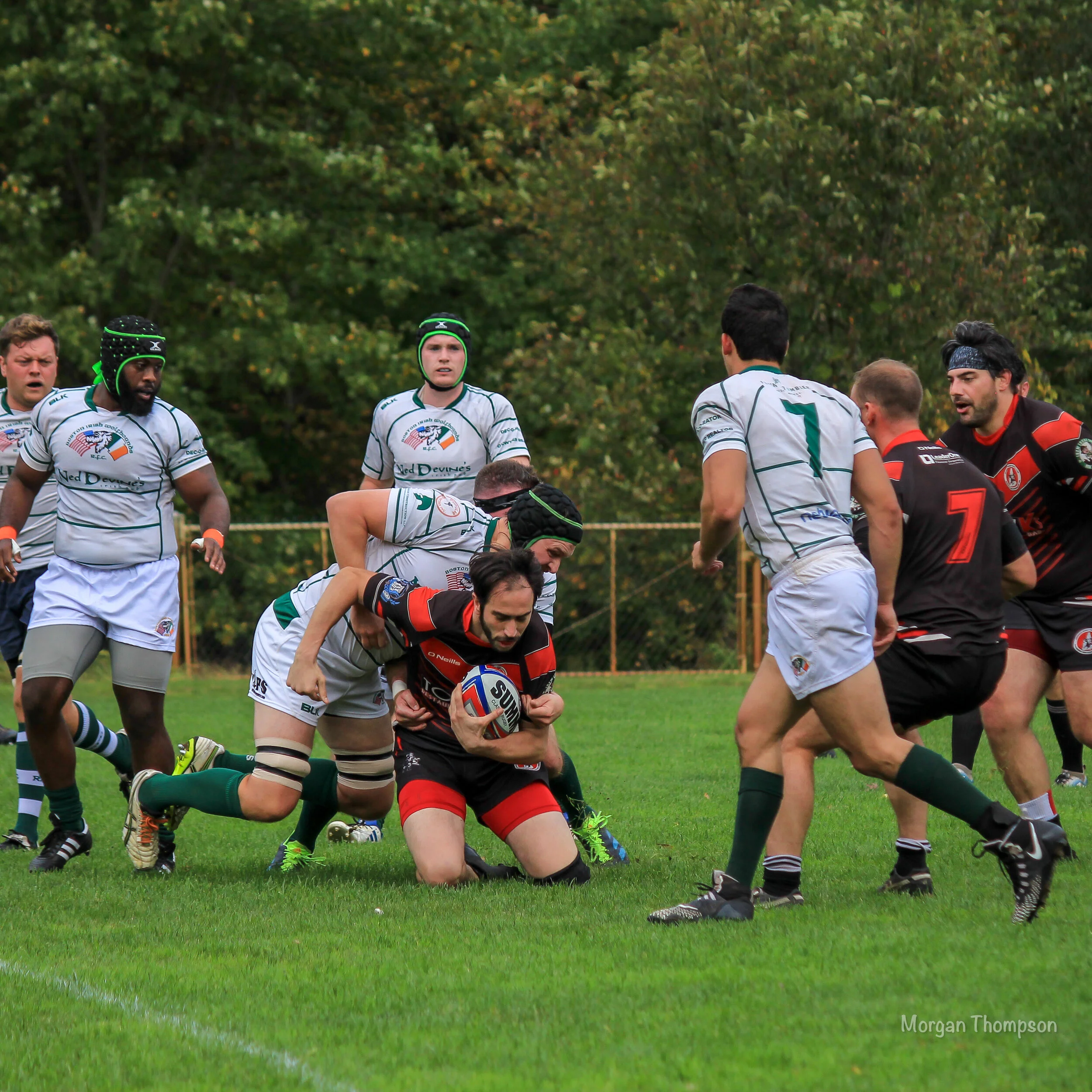 Home Wolfhounds 20211016-28.JPG