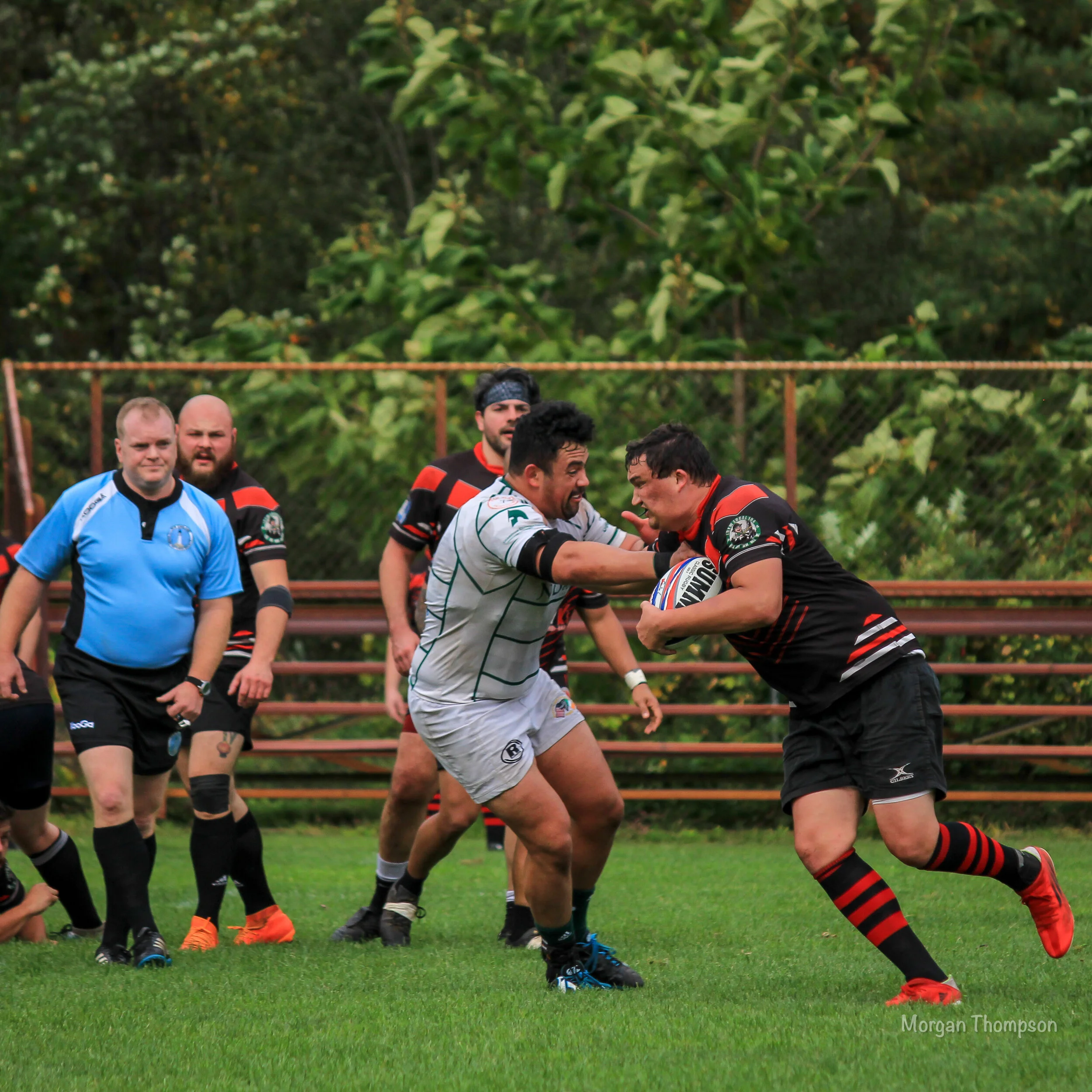 Home Wolfhounds 20211016-34.JPG