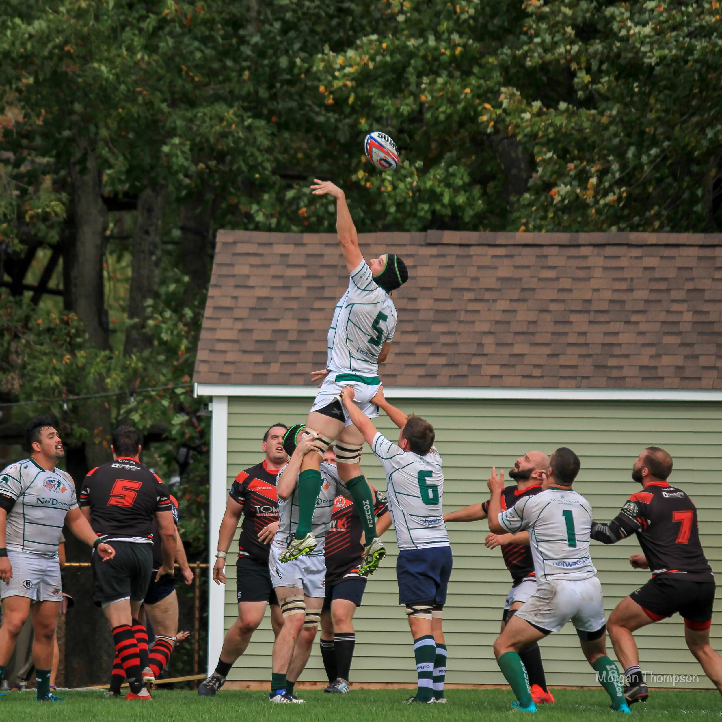 Home Wolfhounds 20211016-35.JPG