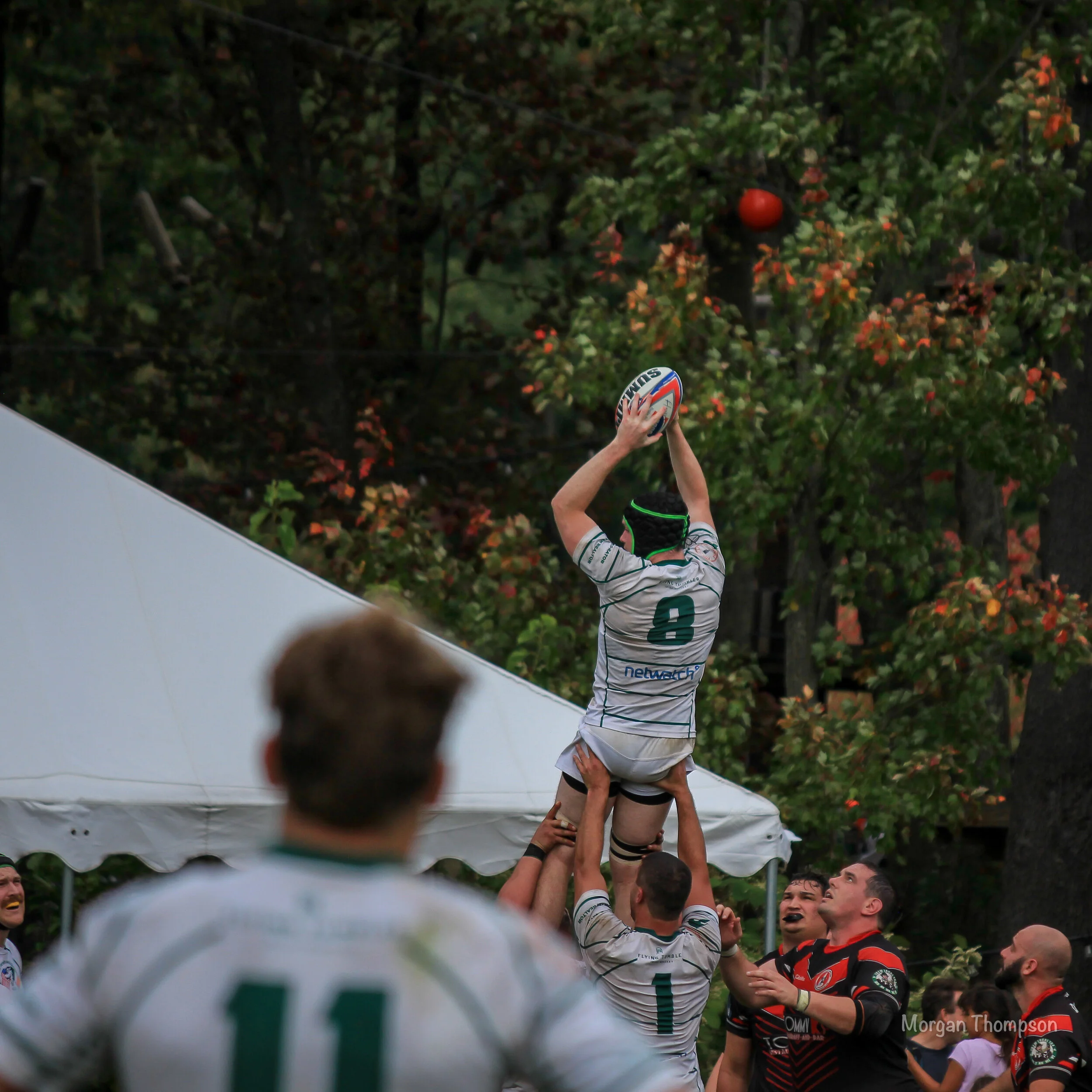 Home Wolfhounds 20211016-44.JPG