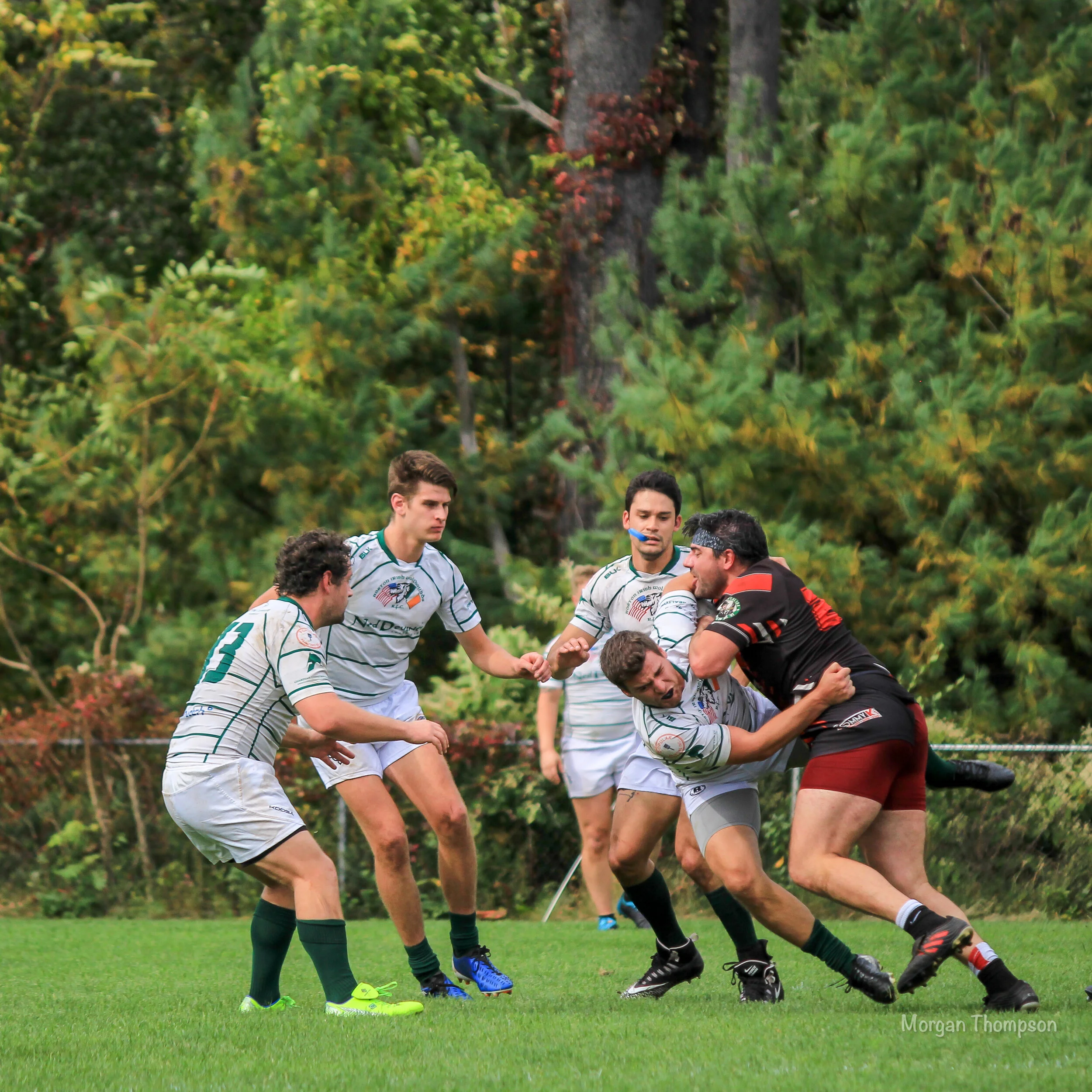 Home Wolfhounds 20211016-50.JPG