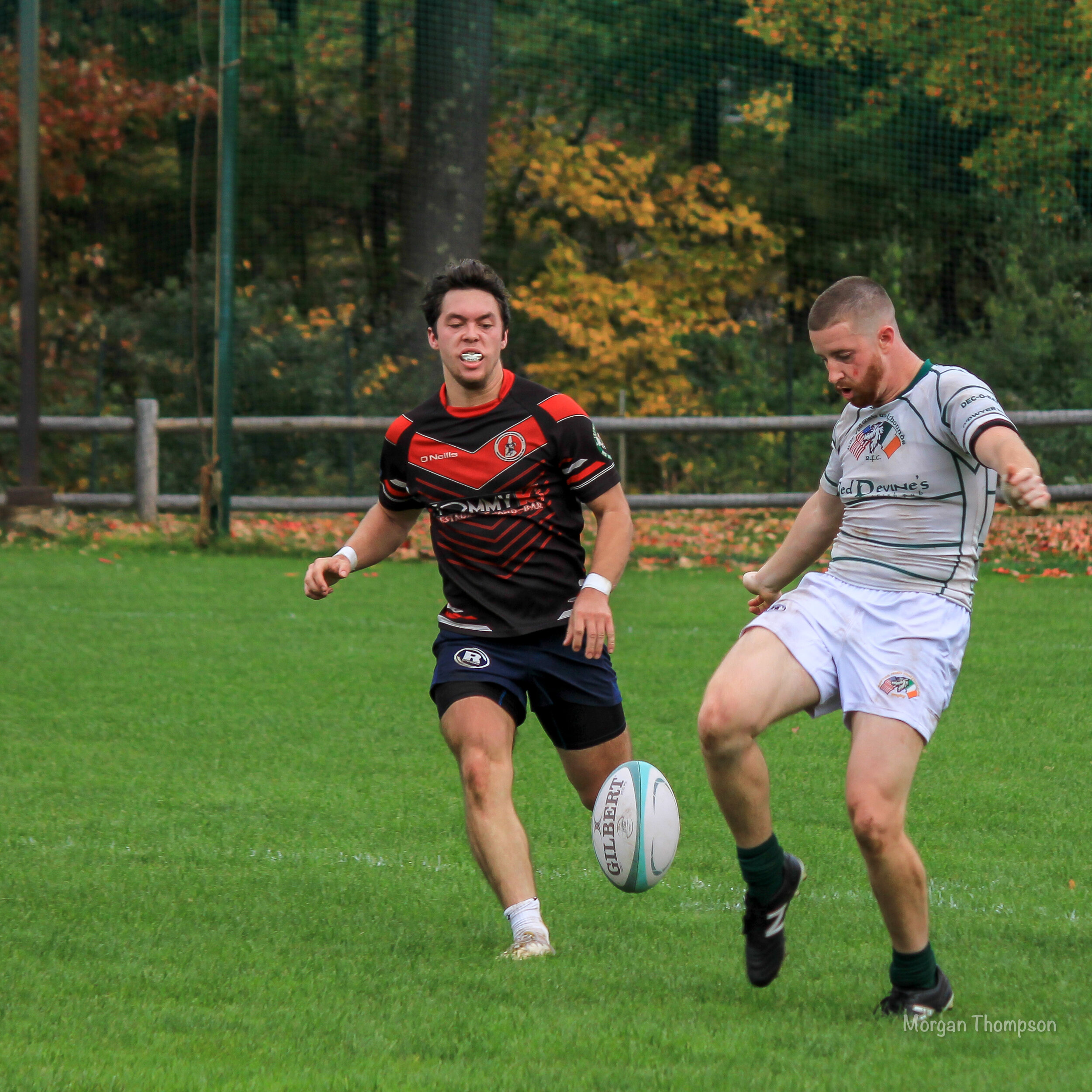 Home Wolfhounds 20211016-65.JPG