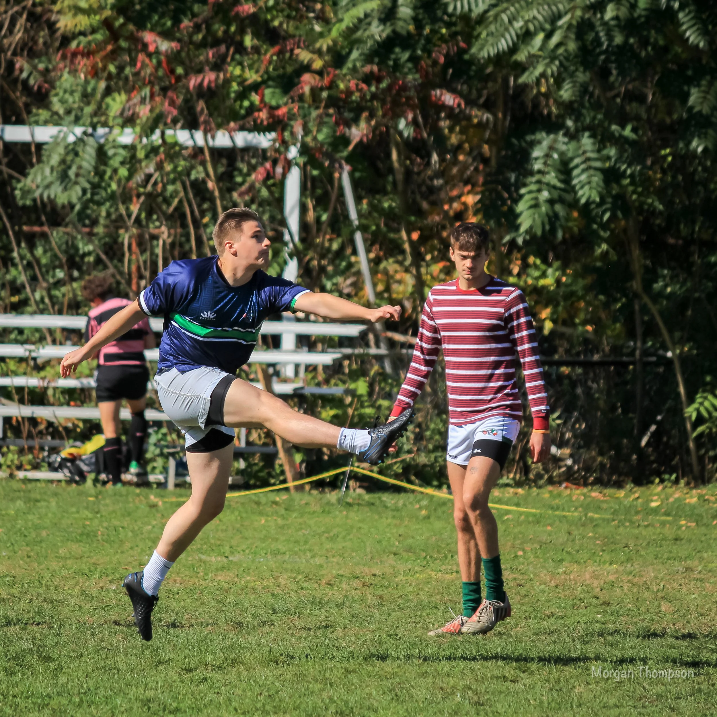 Home Wolfhounds 20211016-005.JPG