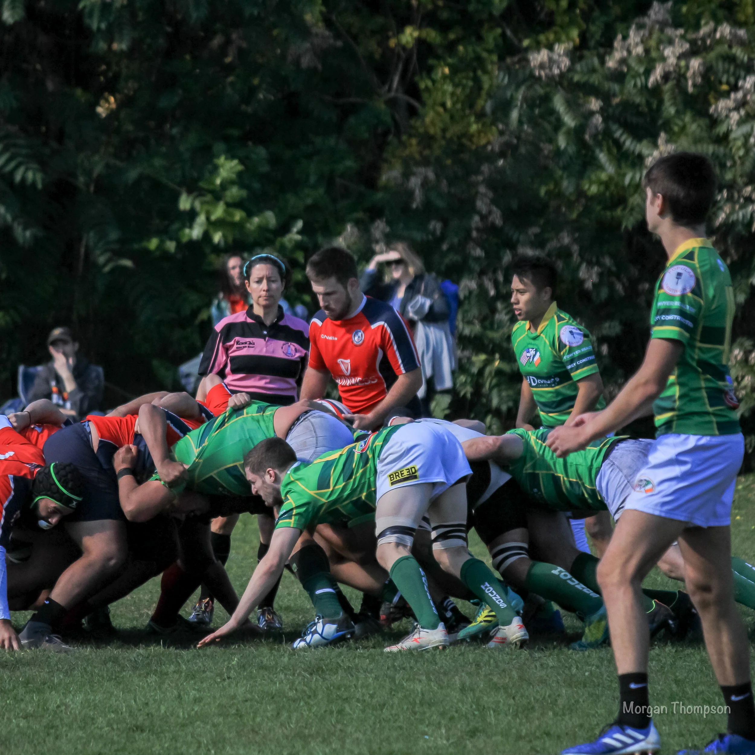 Home Wolfhounds 20211016-013.JPG