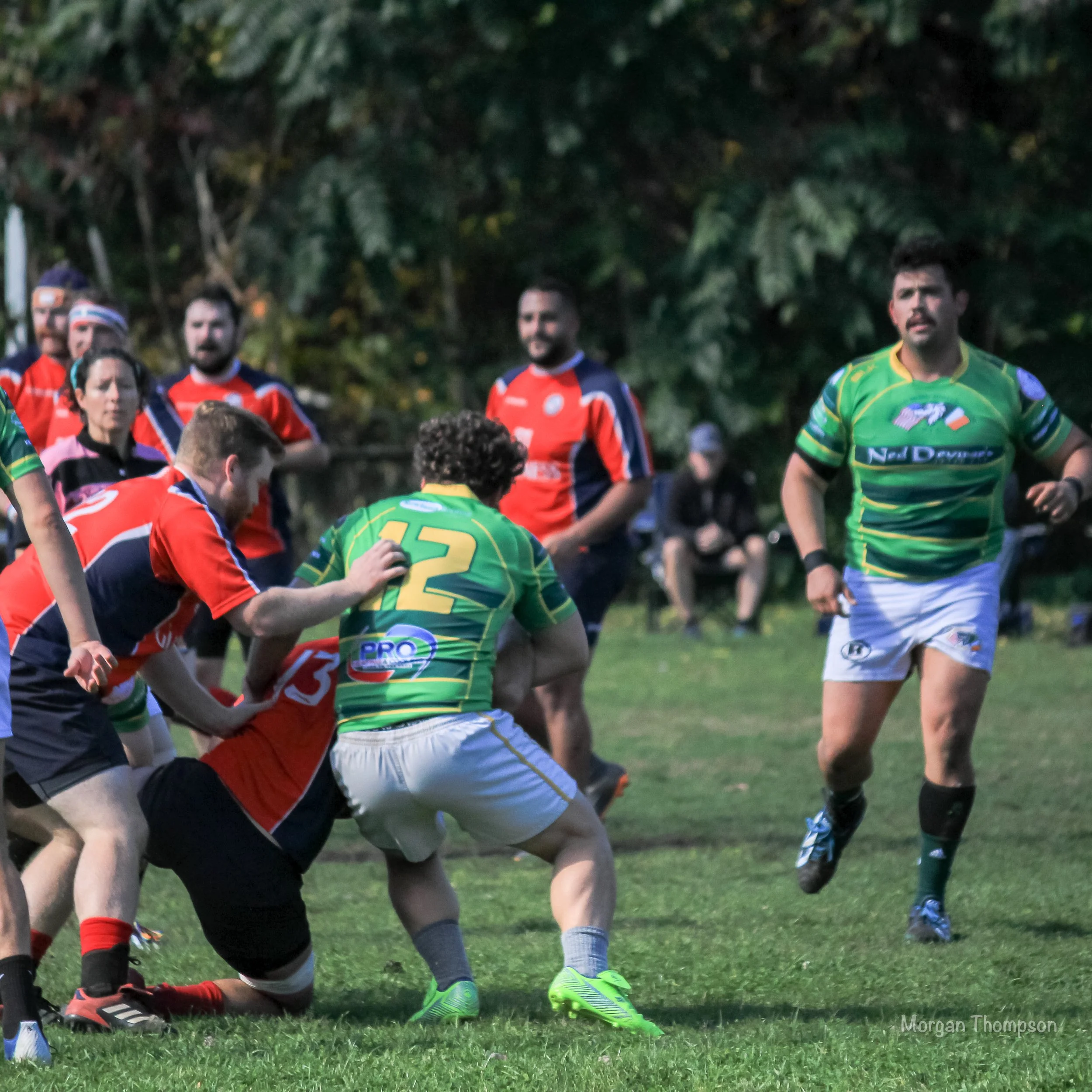 Home Wolfhounds 20211016-014.JPG