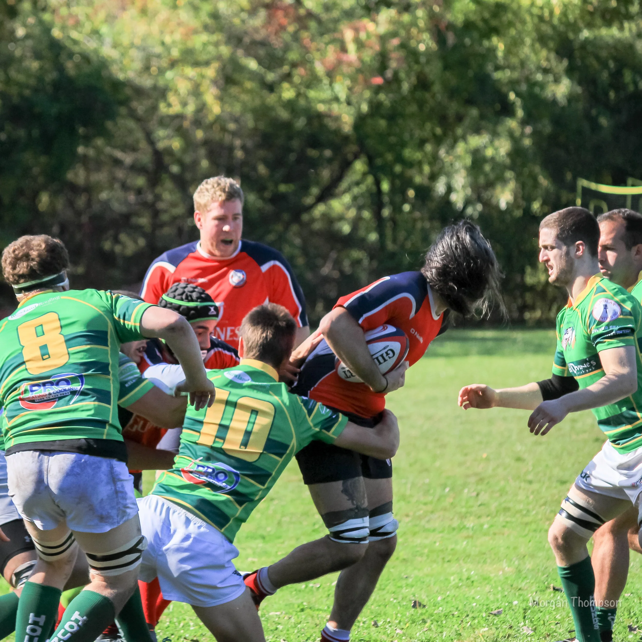 Home Wolfhounds 20211016-016.JPG