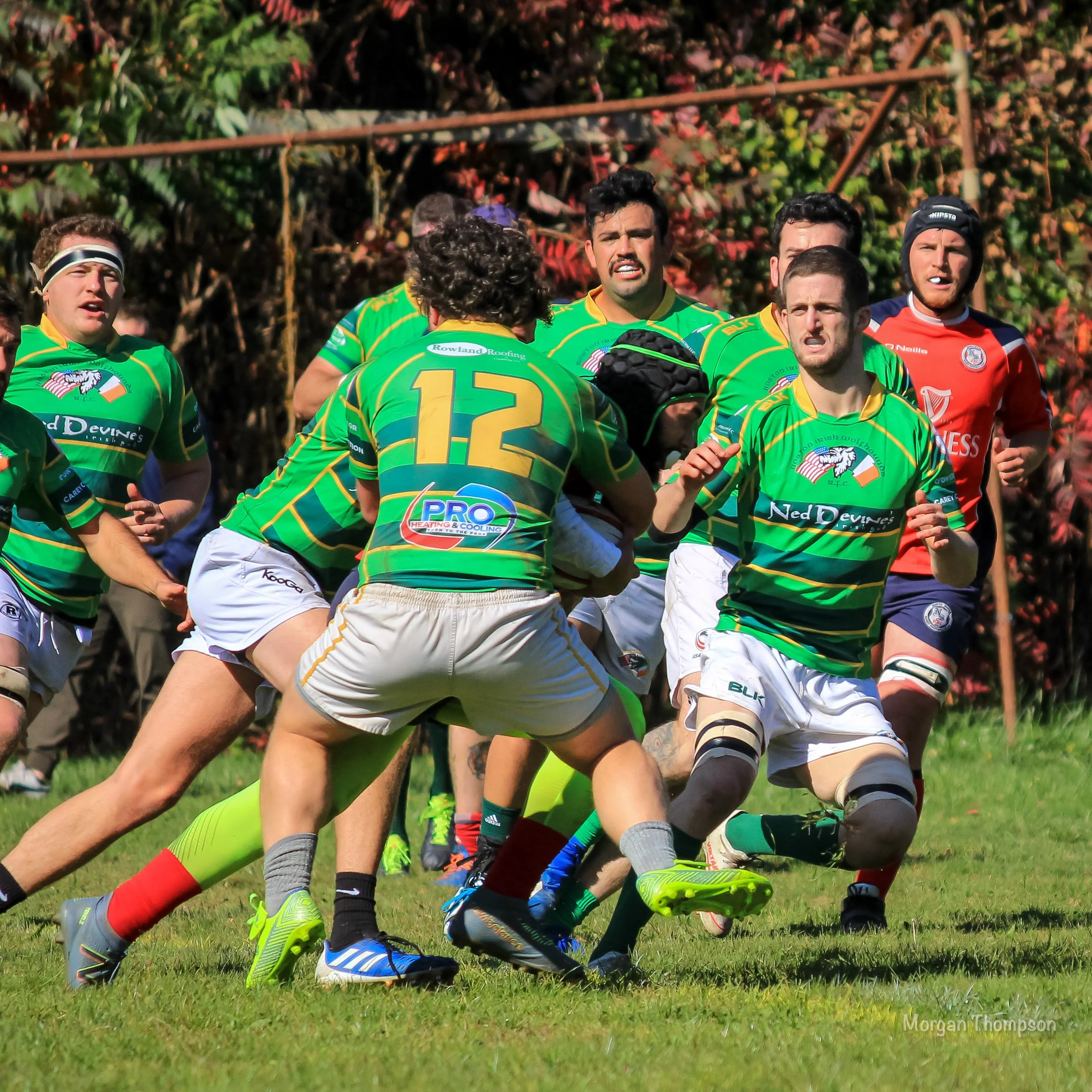 Home Wolfhounds 20211016-021.JPG