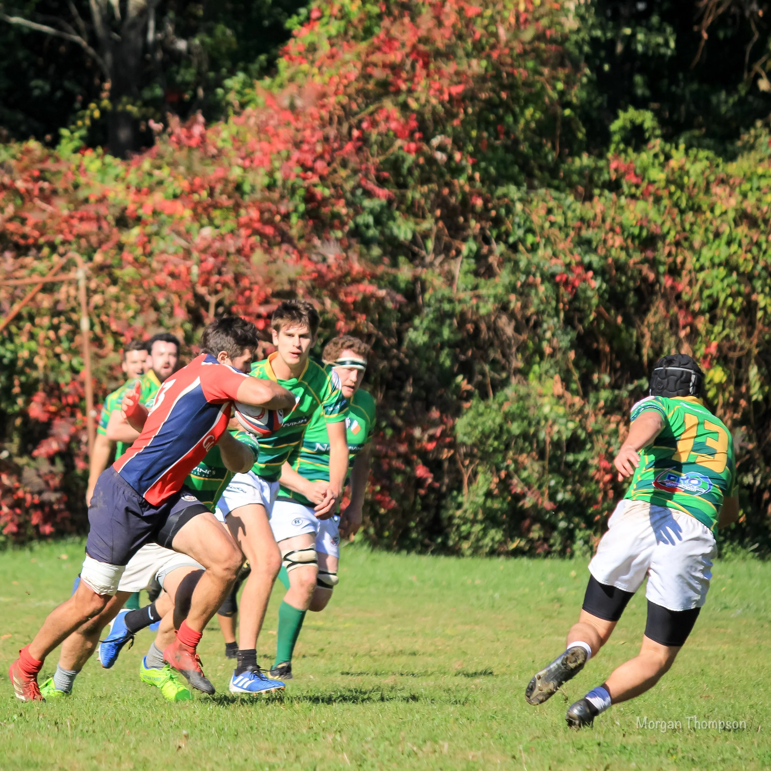 Home Wolfhounds 20211016-027.JPG