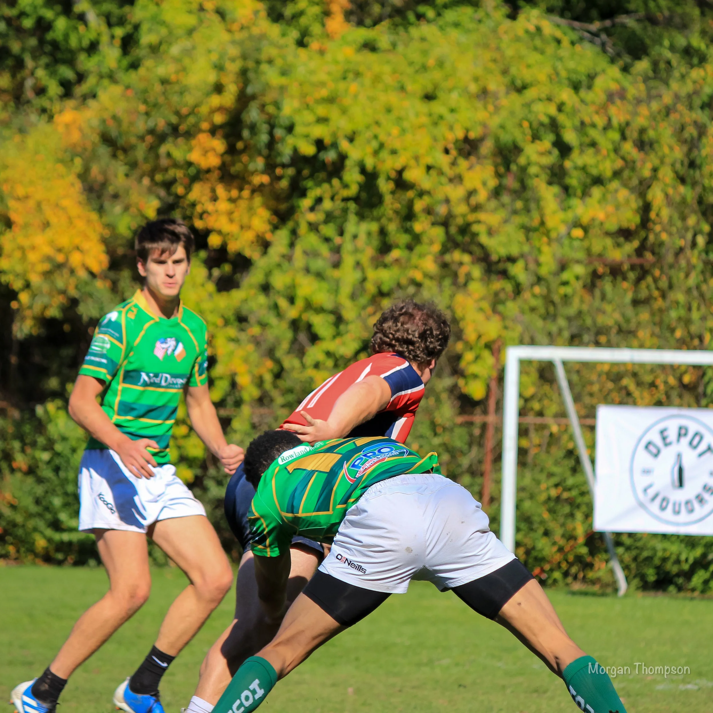 Home Wolfhounds 20211016-029.JPG