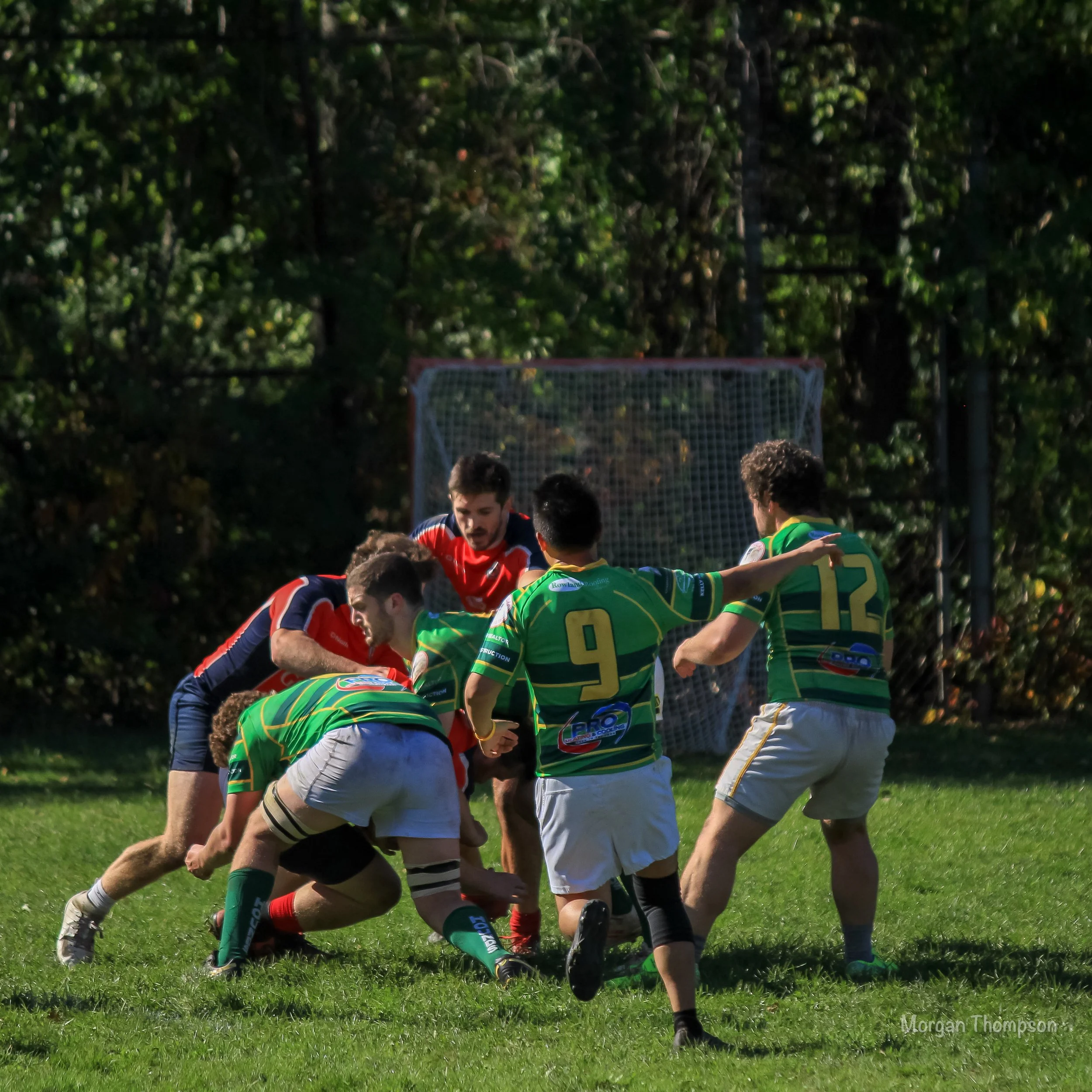 Home Wolfhounds 20211016-035.JPG