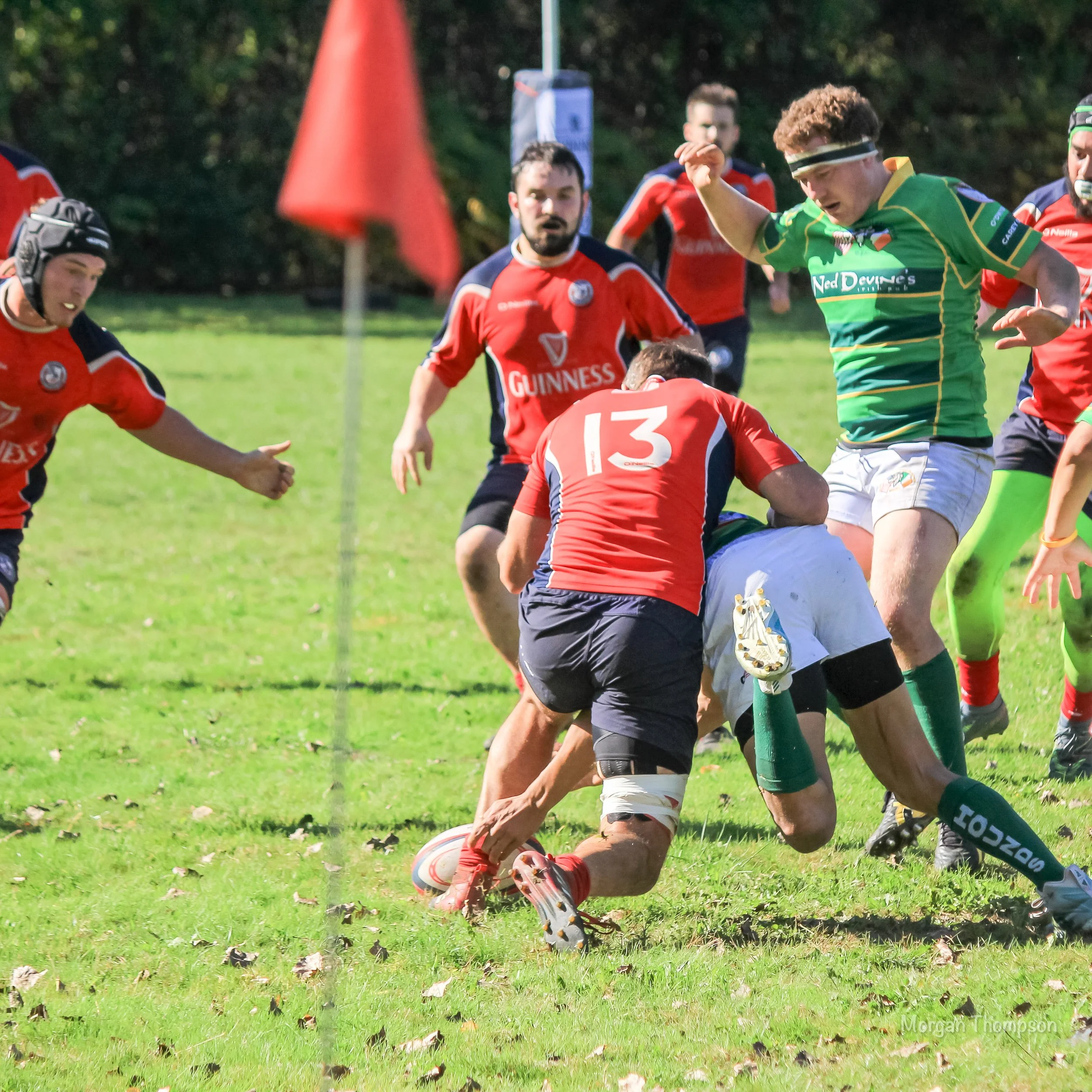 Home Wolfhounds 20211016-046.JPG