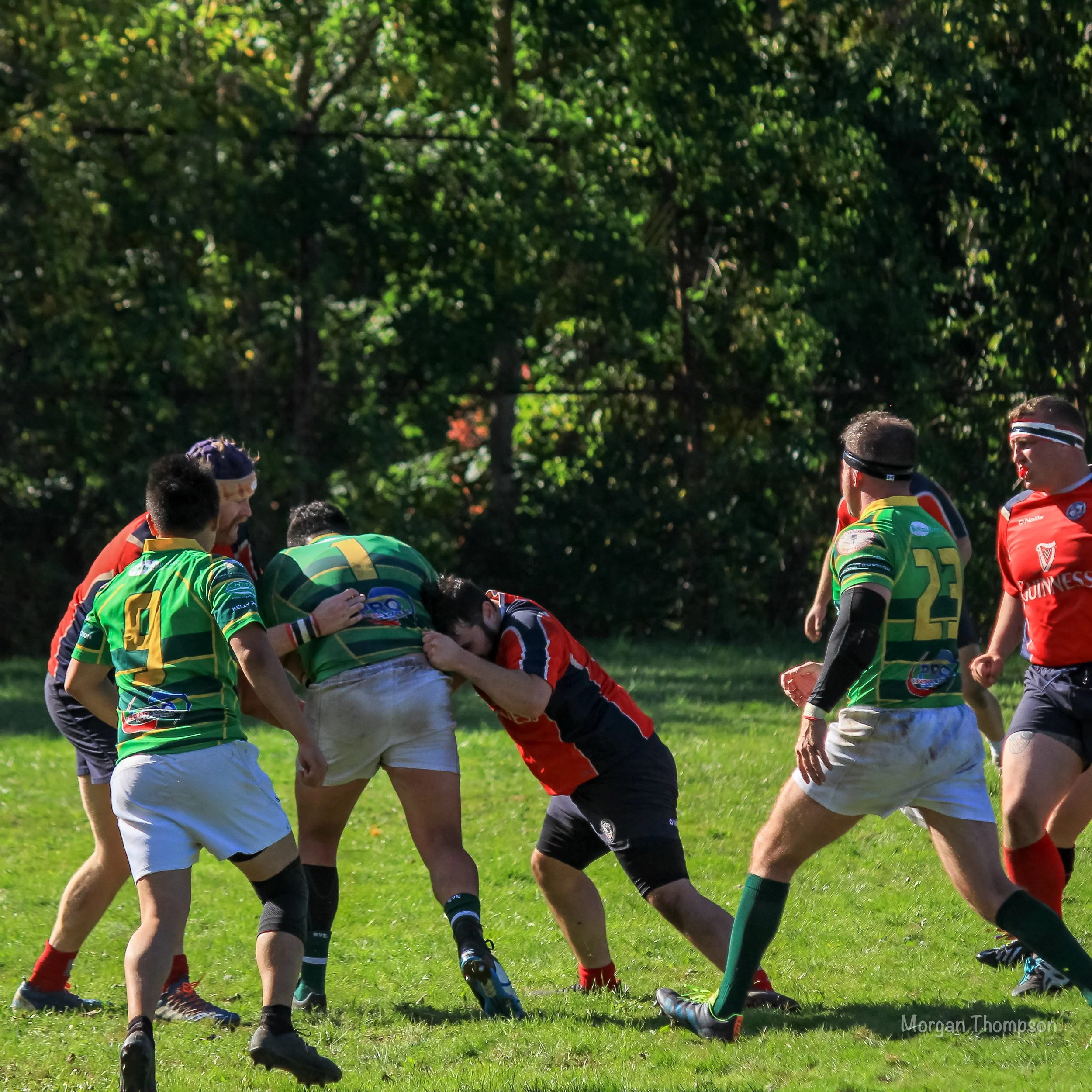 Home Wolfhounds 20211016-061.JPG