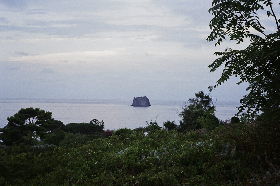 30590004.jpg
