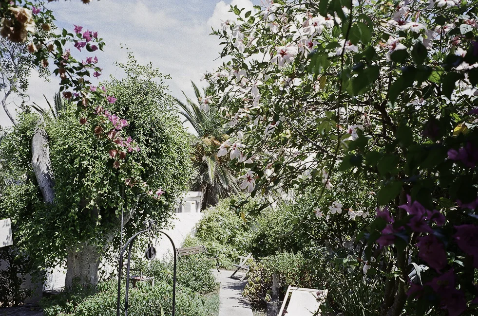 30590019.jpg