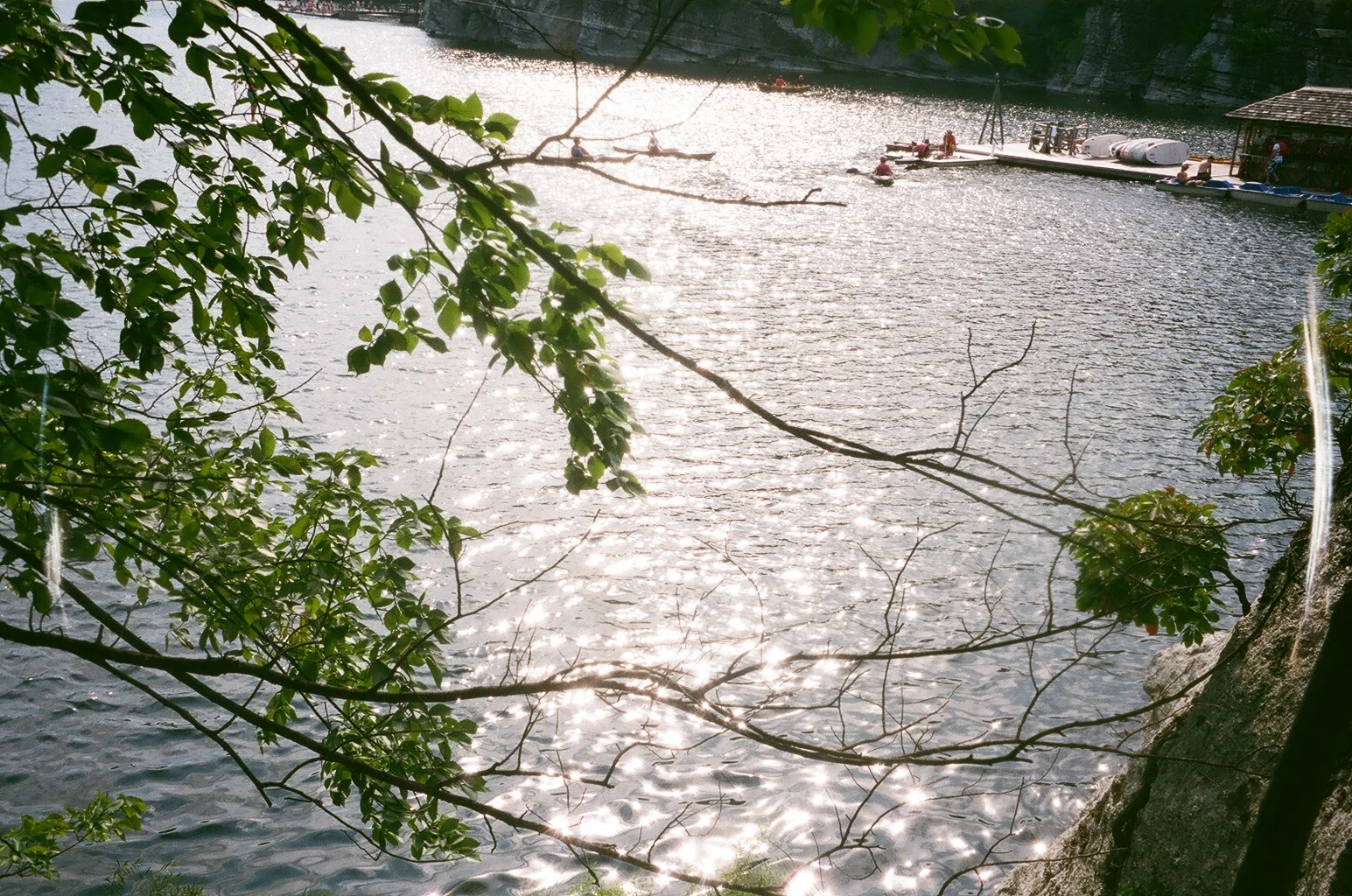 MYSTIFIED SUMMER YOUTH