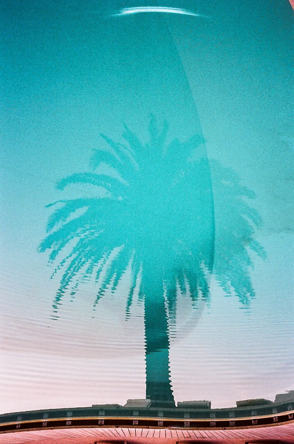 40340008.jpg