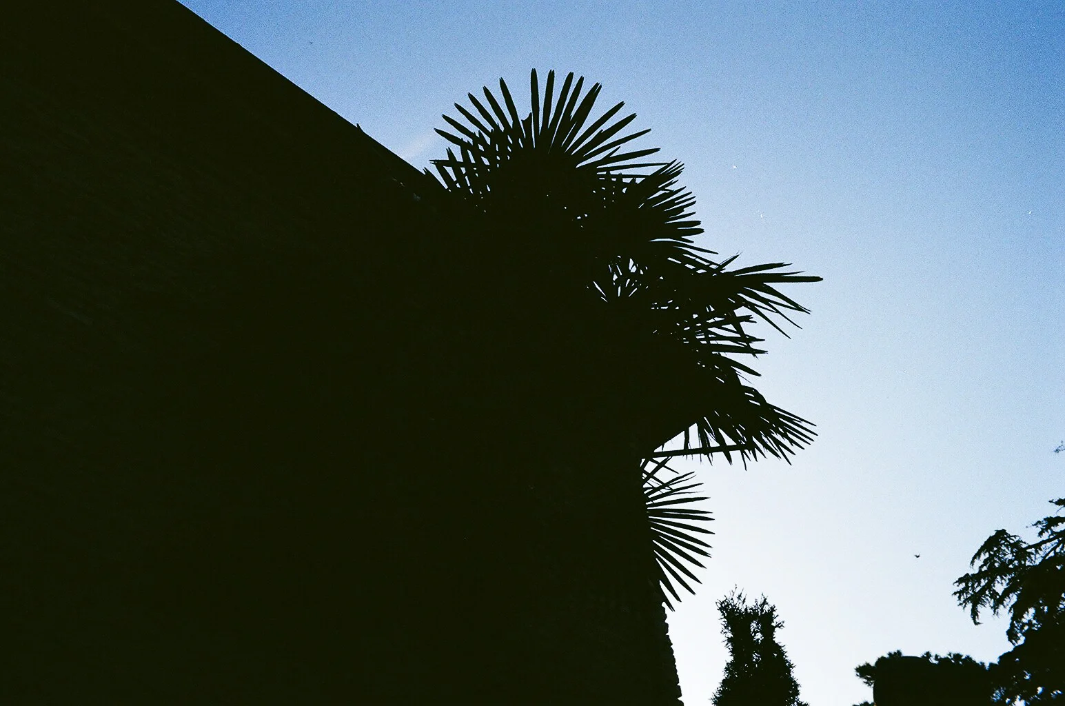 28600034.jpg