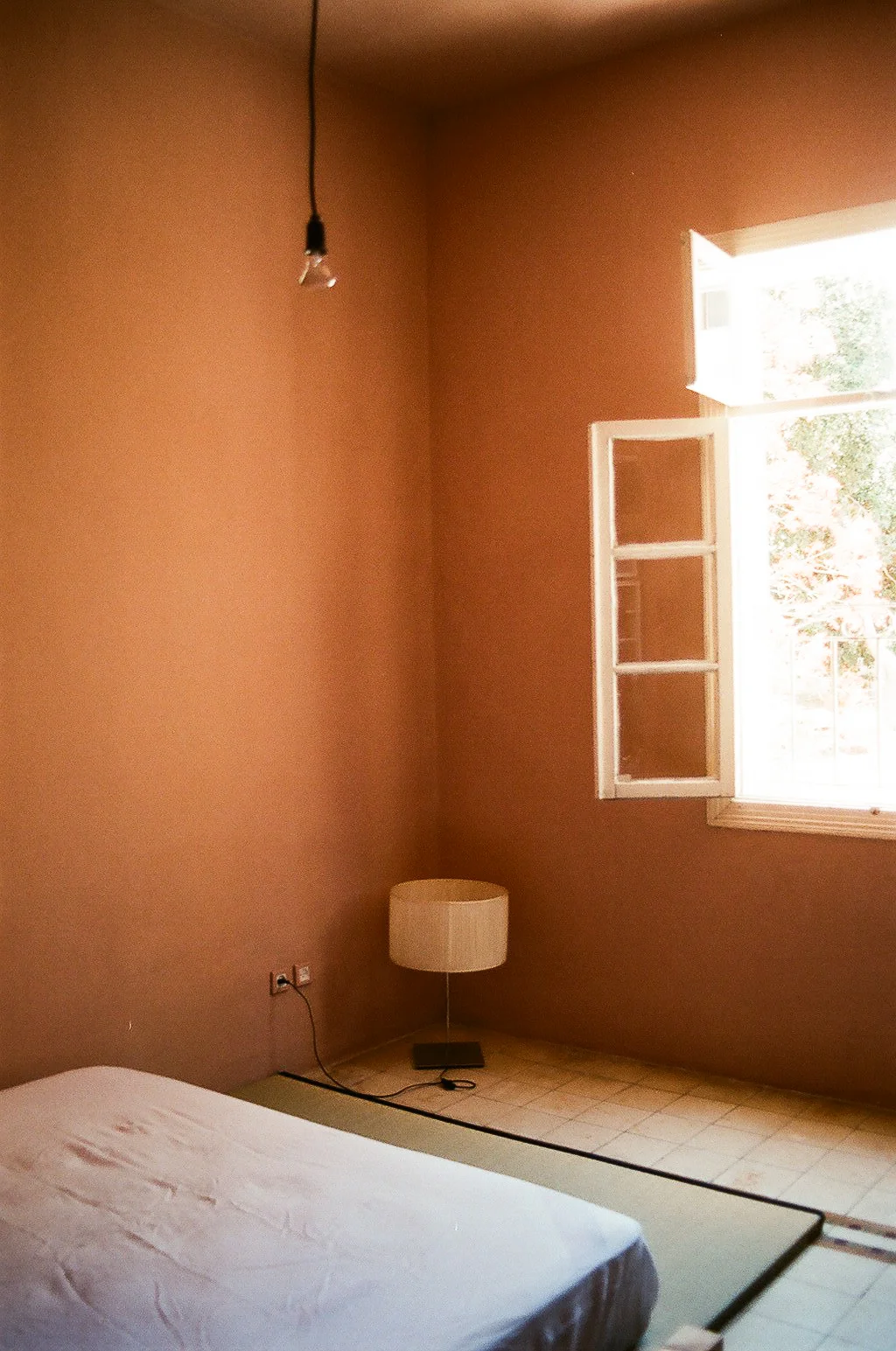 41280015.jpg