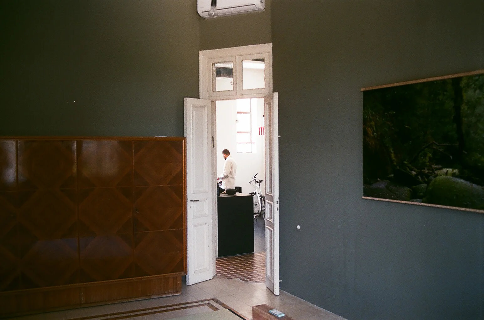 41280036.jpg