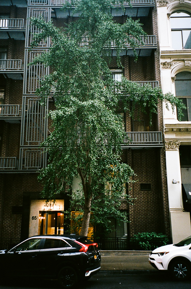 49990027.jpg