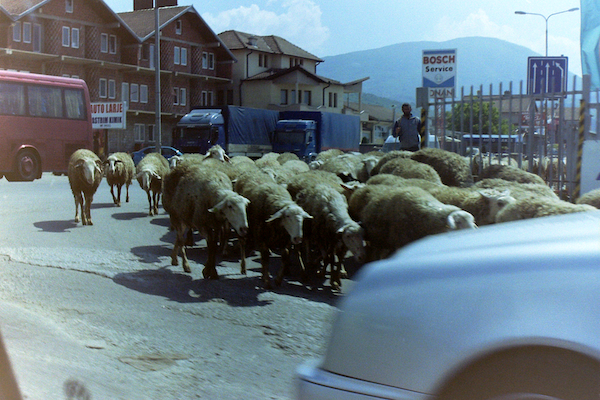 LO Kosovo 8.png