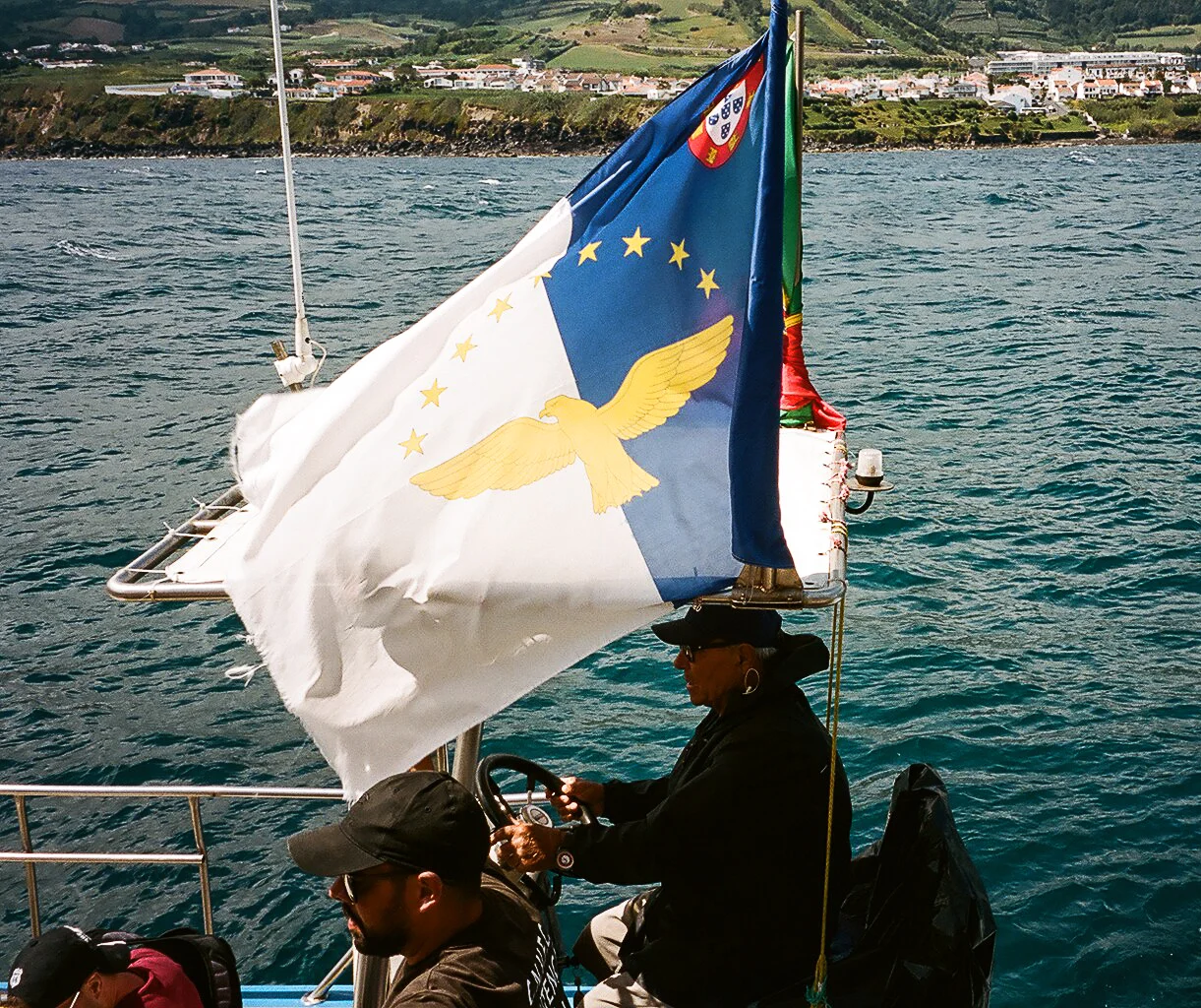 26180036.jpg