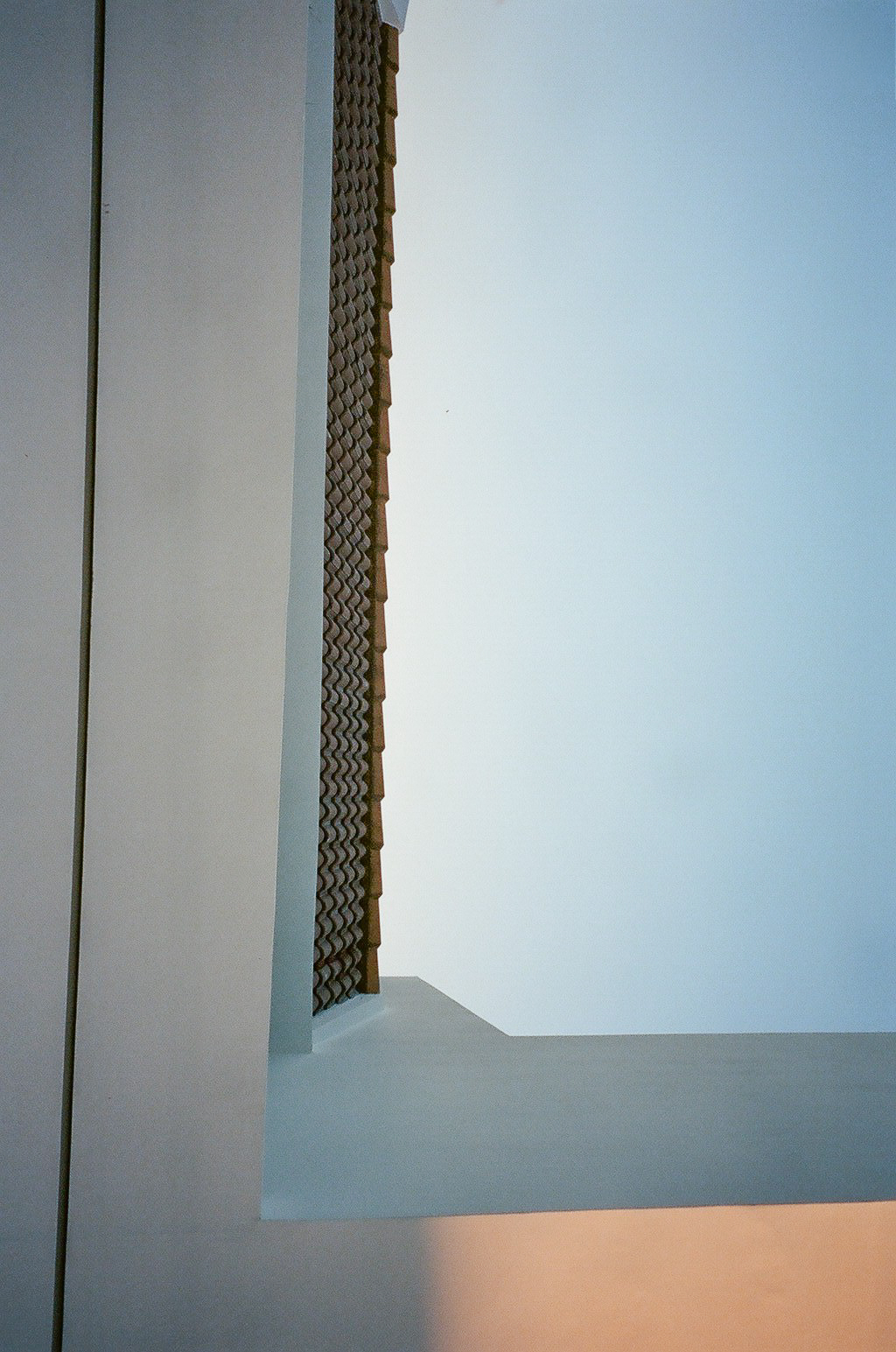 35880030.jpg