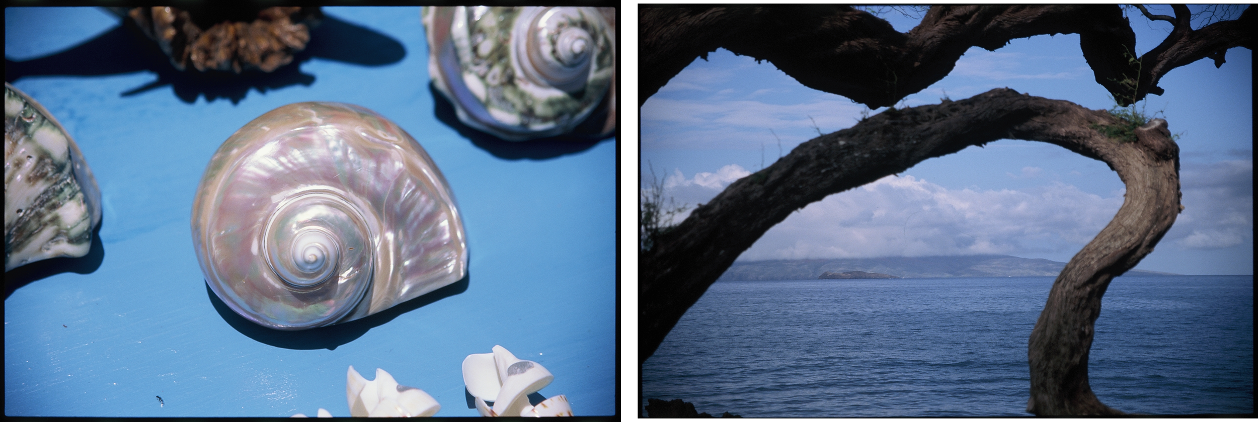 Diptyque-09.png