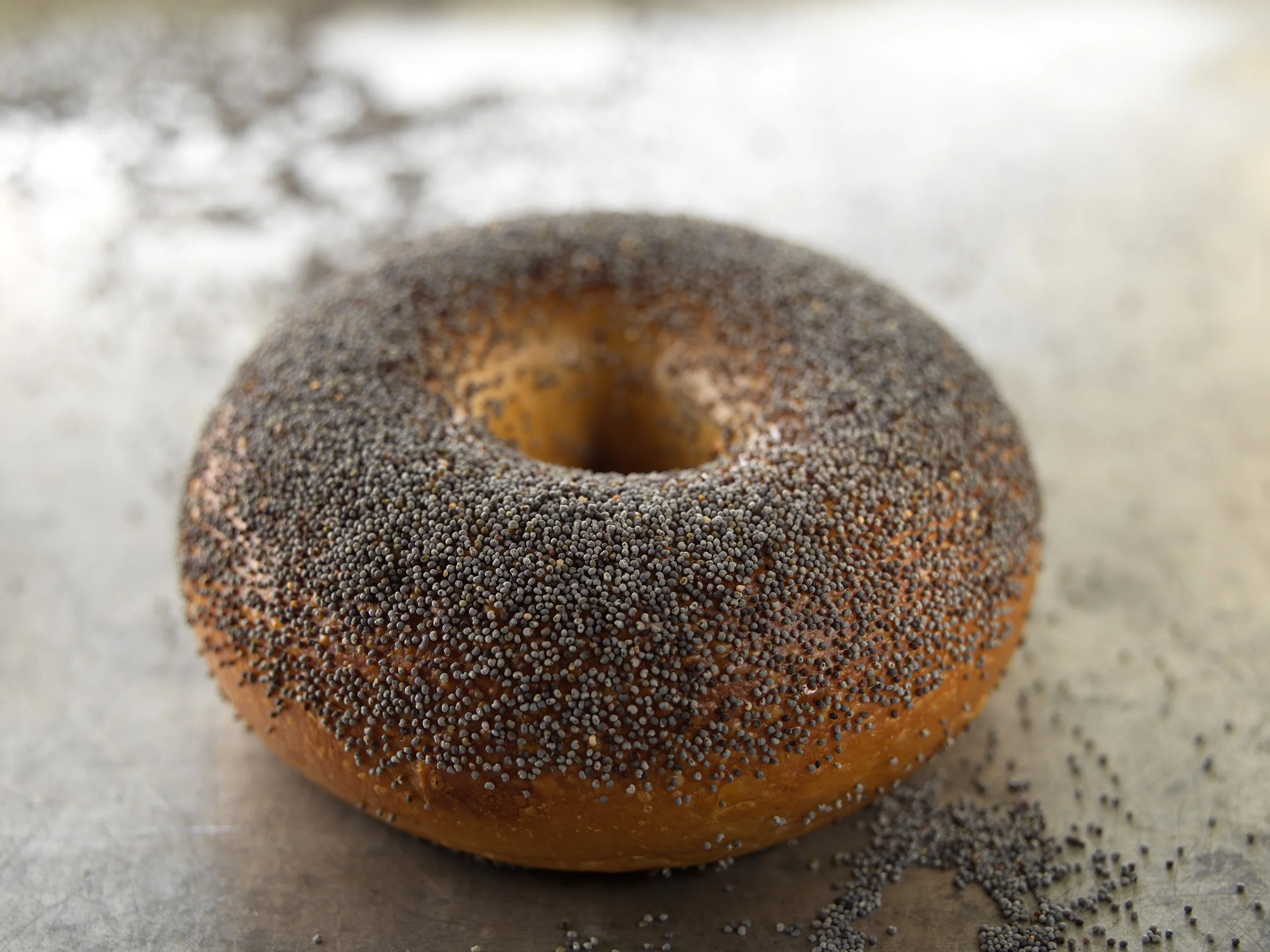 PoppySeed_Closeup_V2.jpg