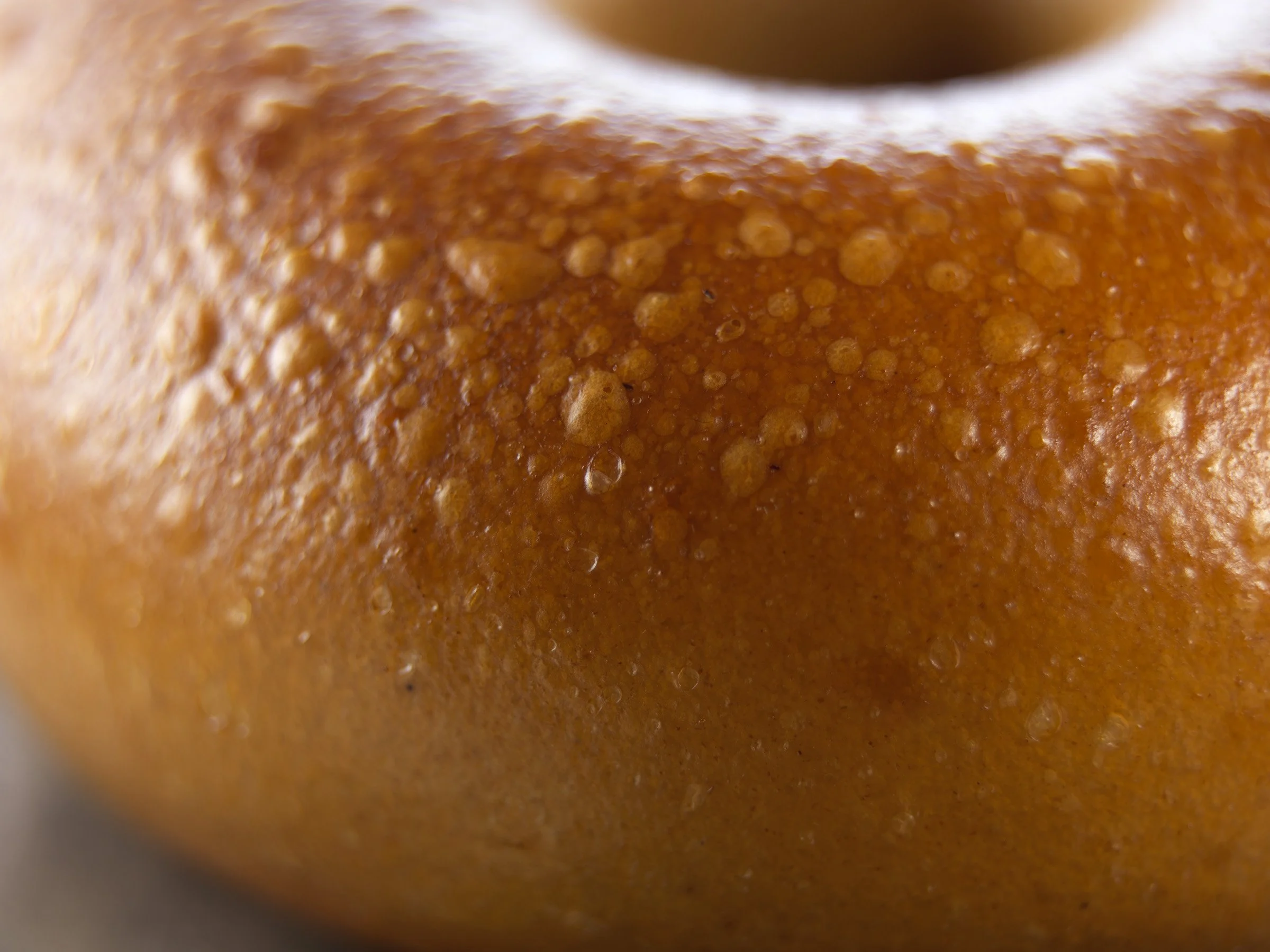PlainBagel_Closeup_V2.jpg