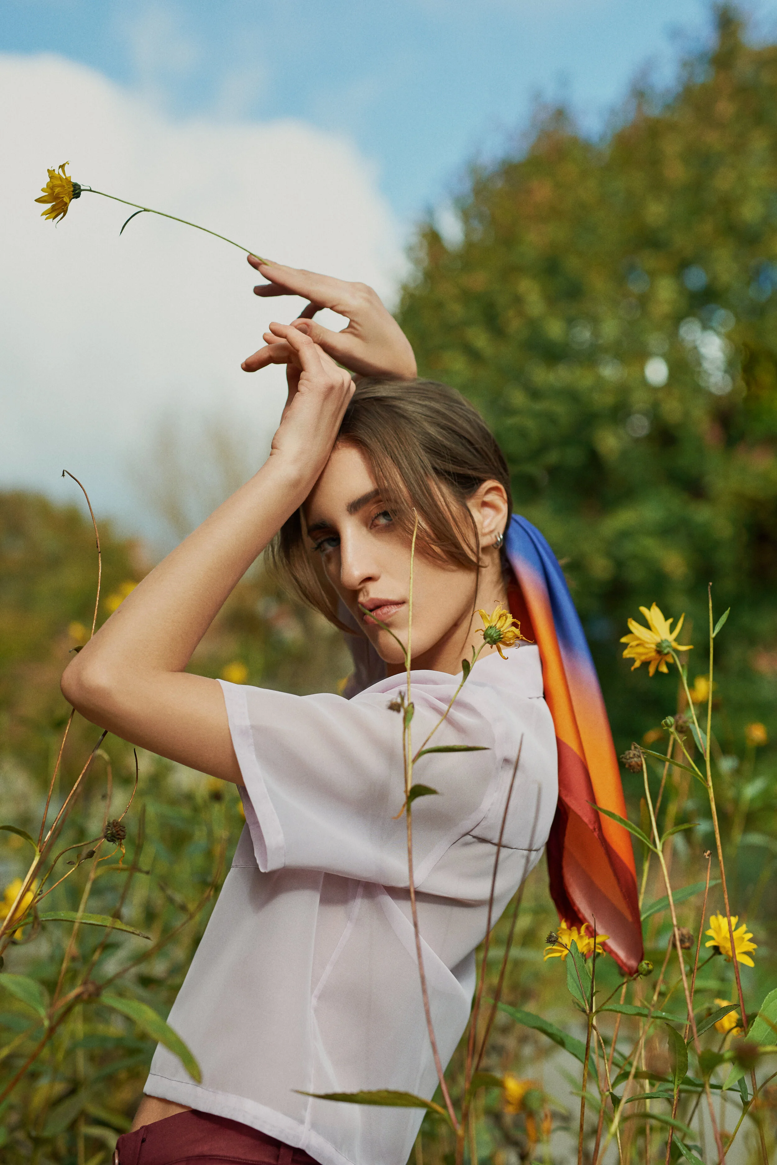 _KLM0021original 1.jpg