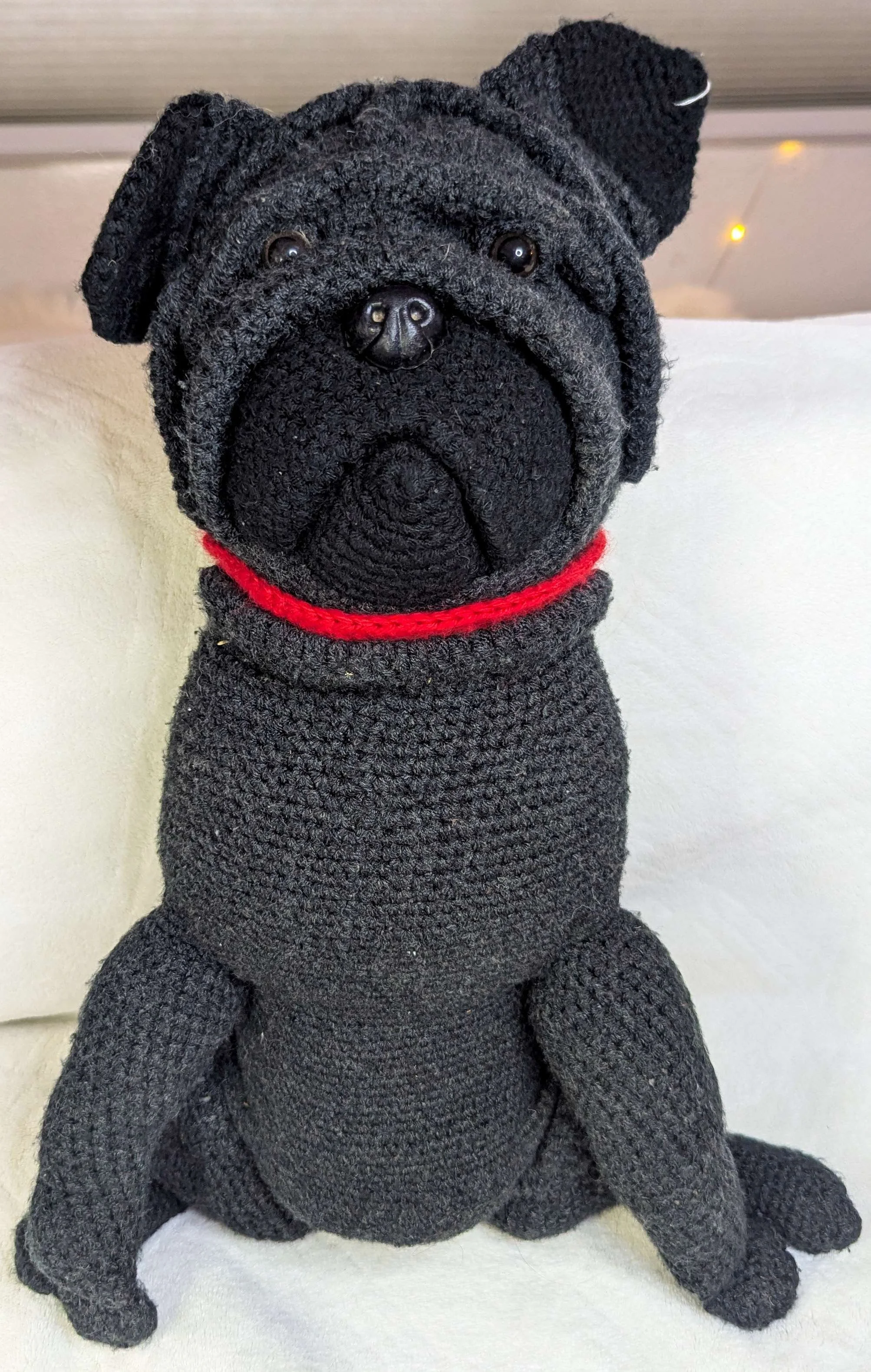 pug_front.jpg