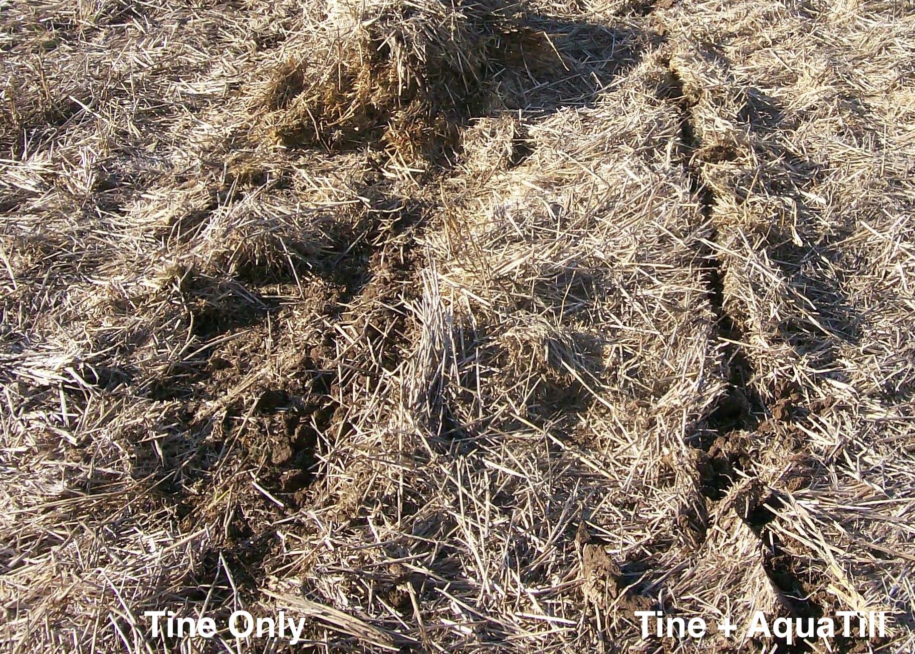 Knifepoint tine through windrow of 8T wheat crop Dubbo, without (left) and with (right) the liquid coulter website annotate.jpg