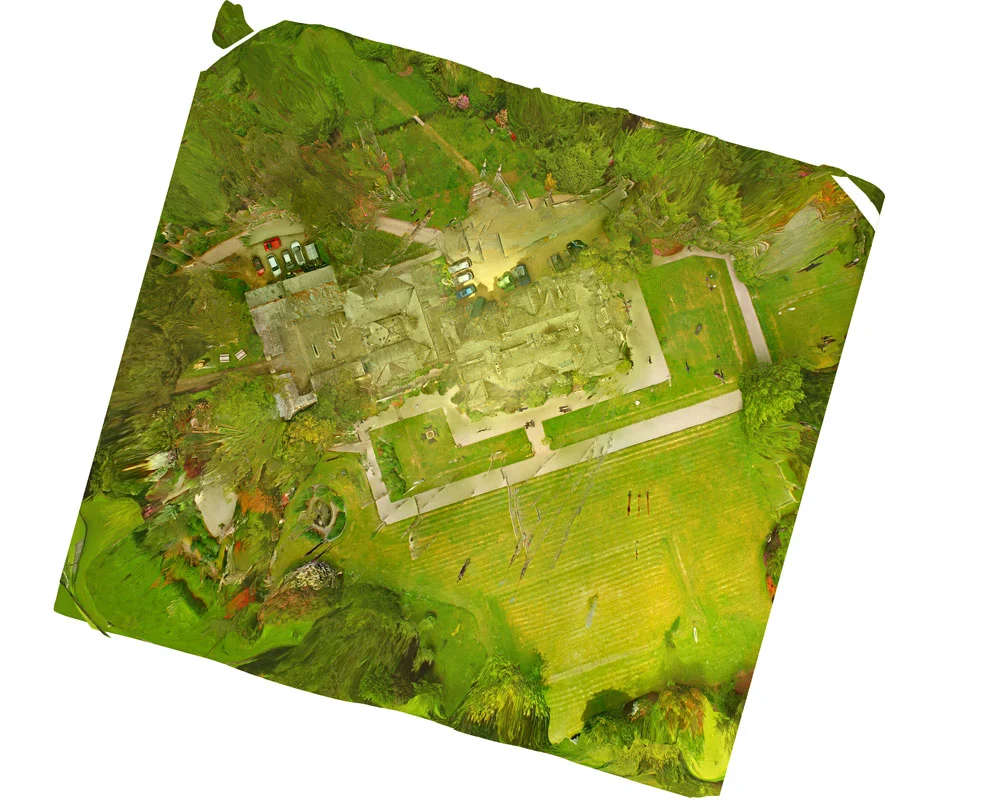 Orthomosaic image