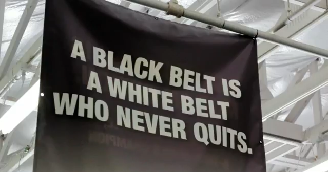Why Practice Martial Arts?
