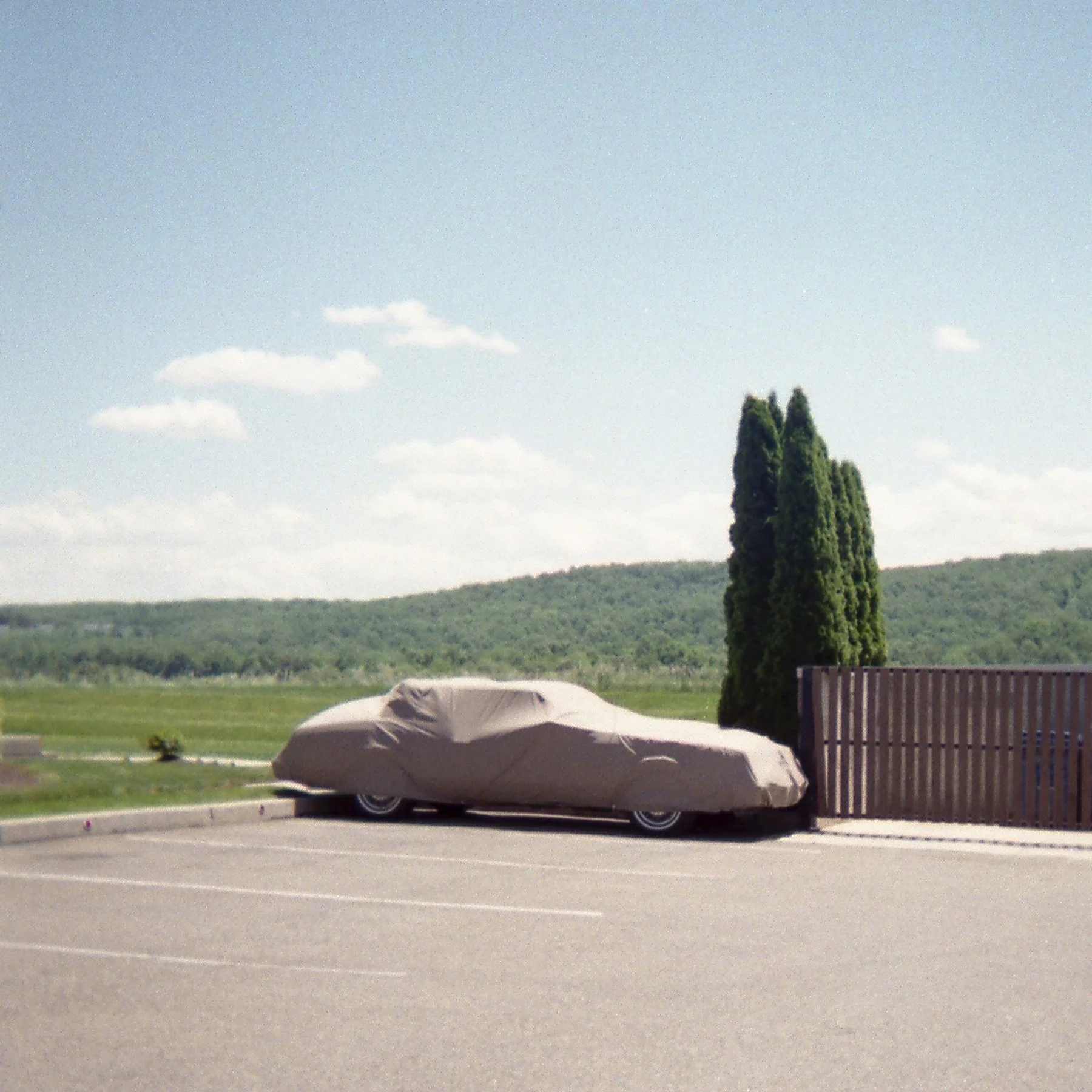 50_cropped.jpg