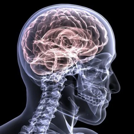 Hyperbaric Oxygen Improves Cognitive Abilities After Brain Injury