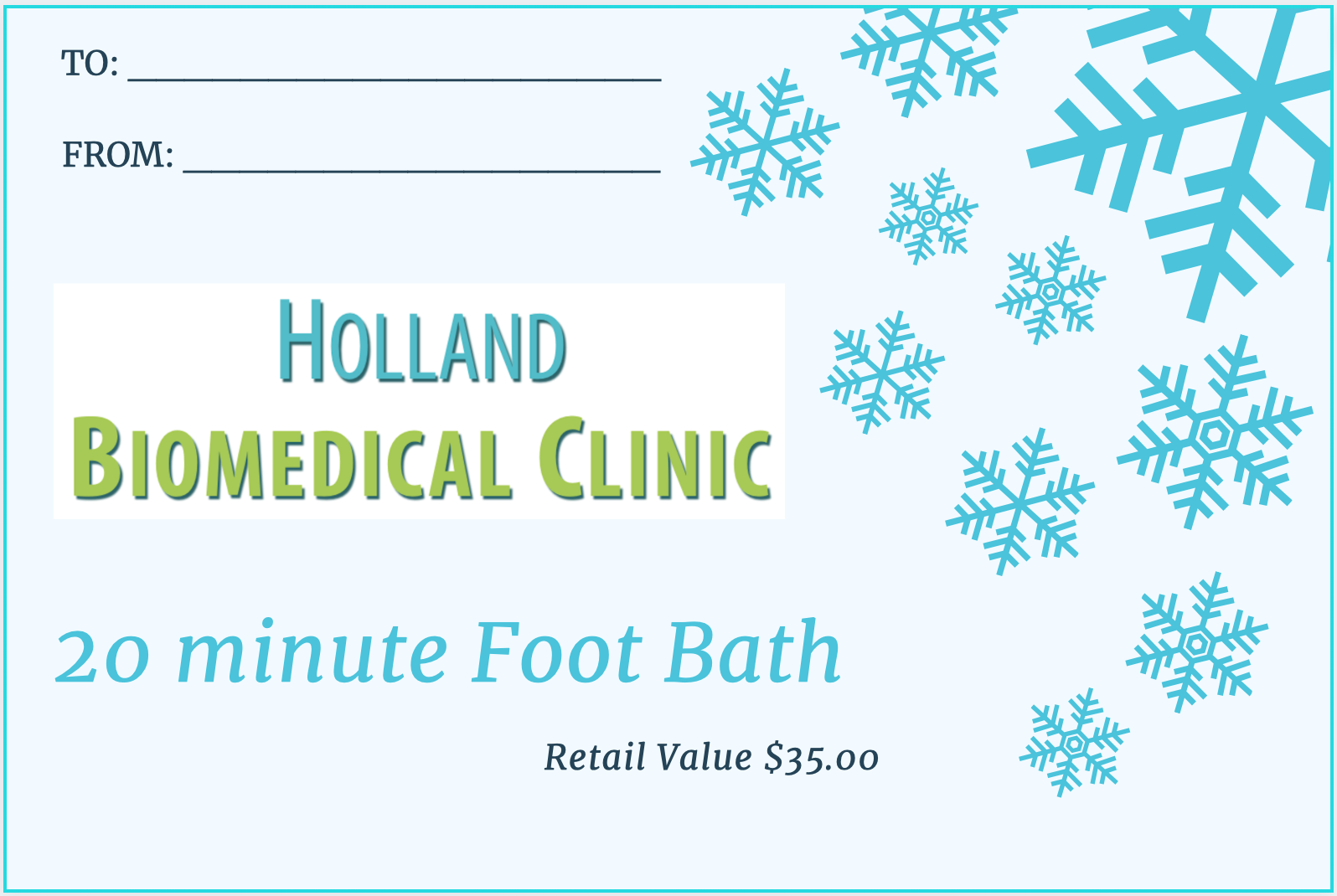 20 Minute Ionic Foot Bath Gift Card