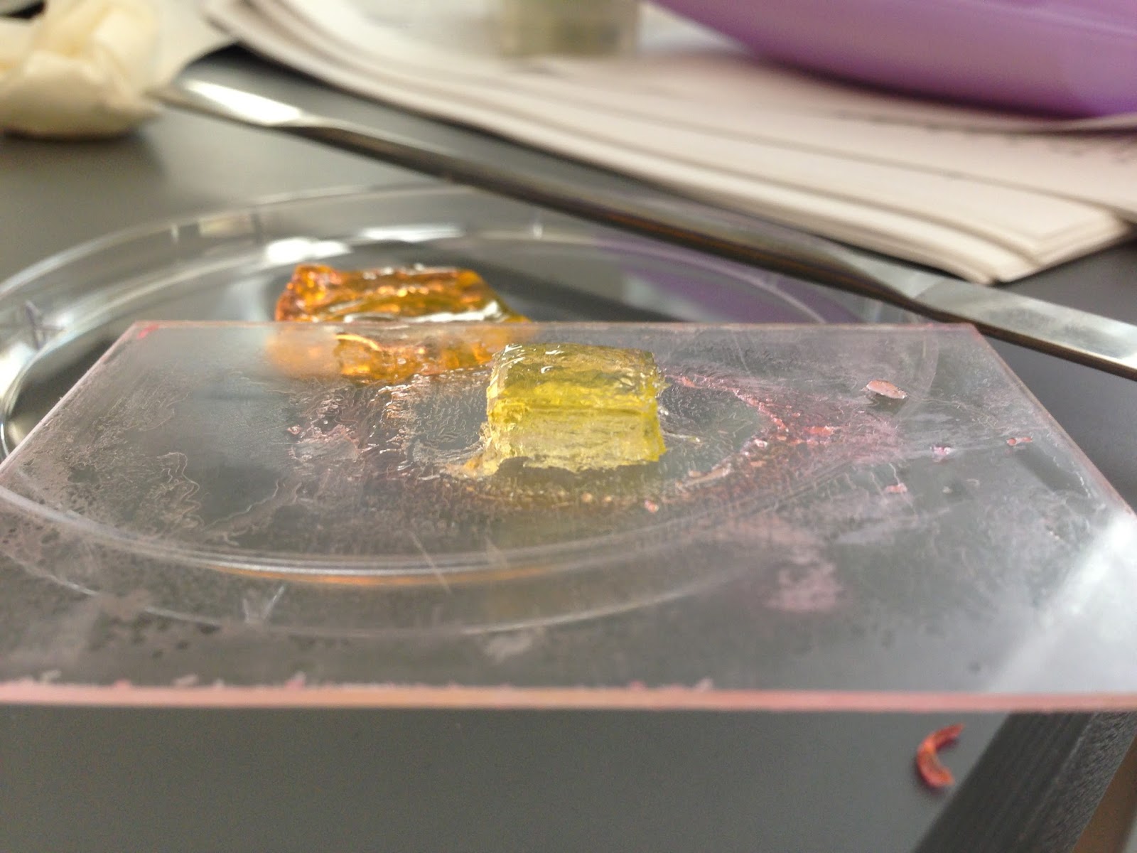 First Hydrogel print! It works!