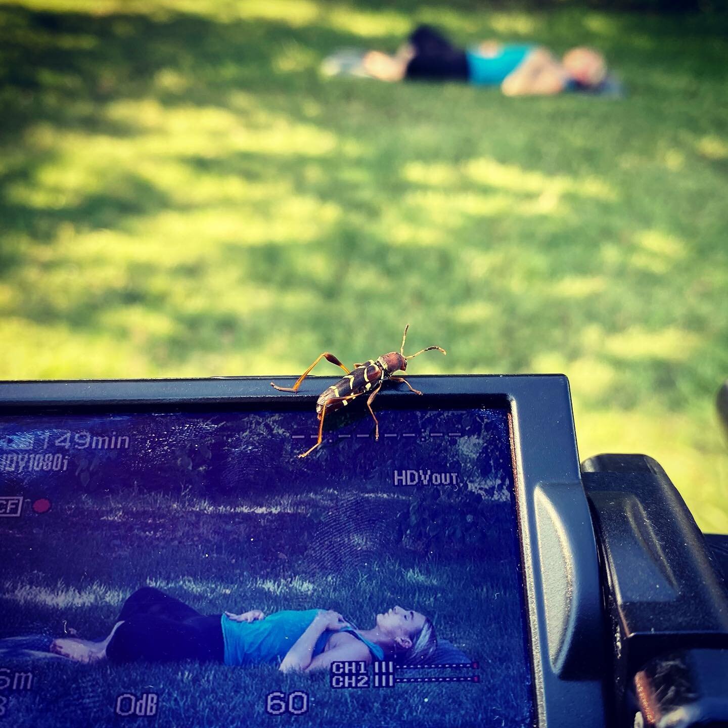 Had a mini assistant on the yoga shoot today&hellip;.with him, the shoot really flew by. (Yes. Yes, I just went corny&hellip; ;) 

#videography #yogavideo #memphisphotographer #memphisvideographer #901videographer #cornyjokes #liveandlaugh #livewithn