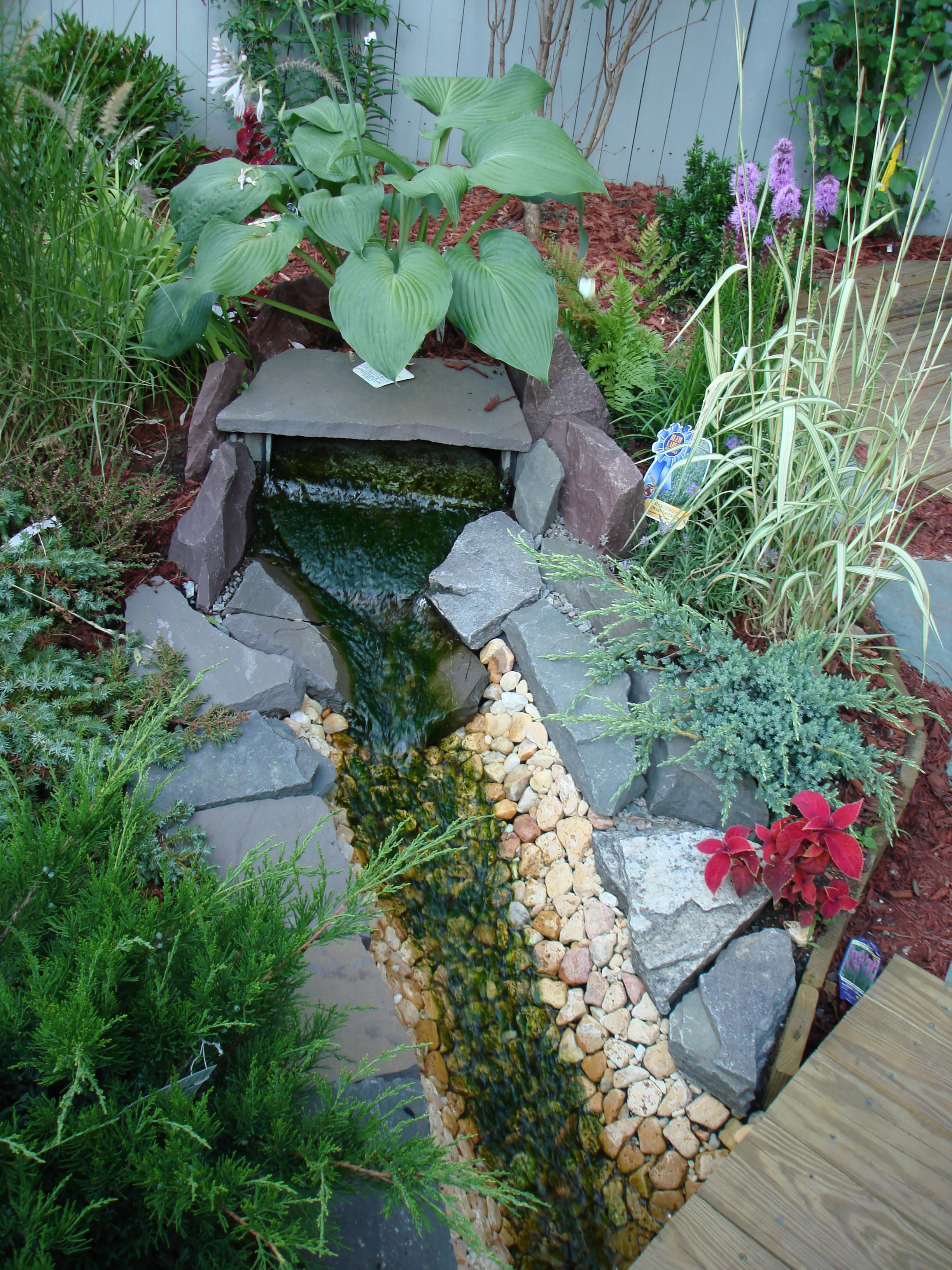 Lenora garden (3).JPG