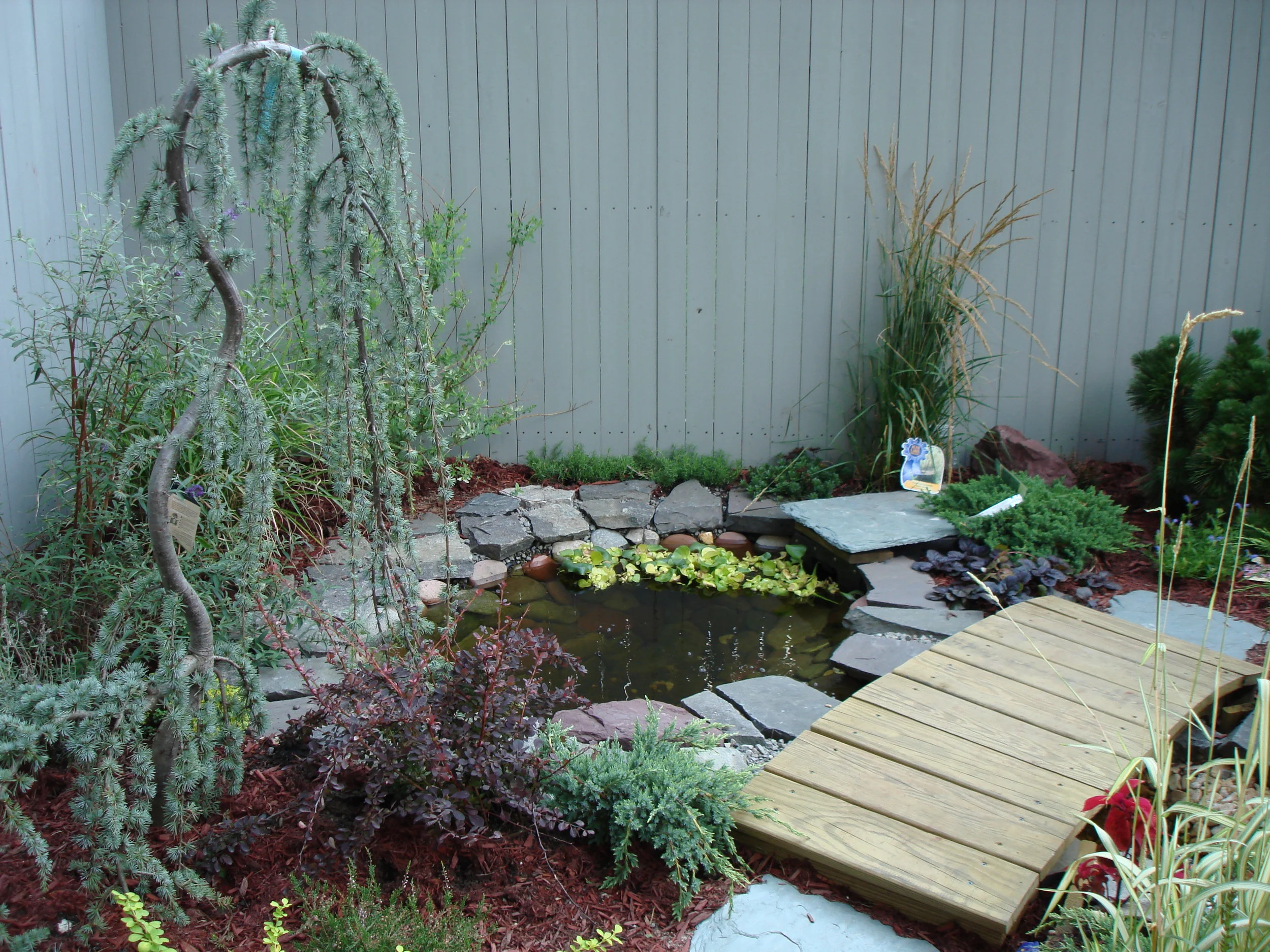 Lenora garden (4).JPG