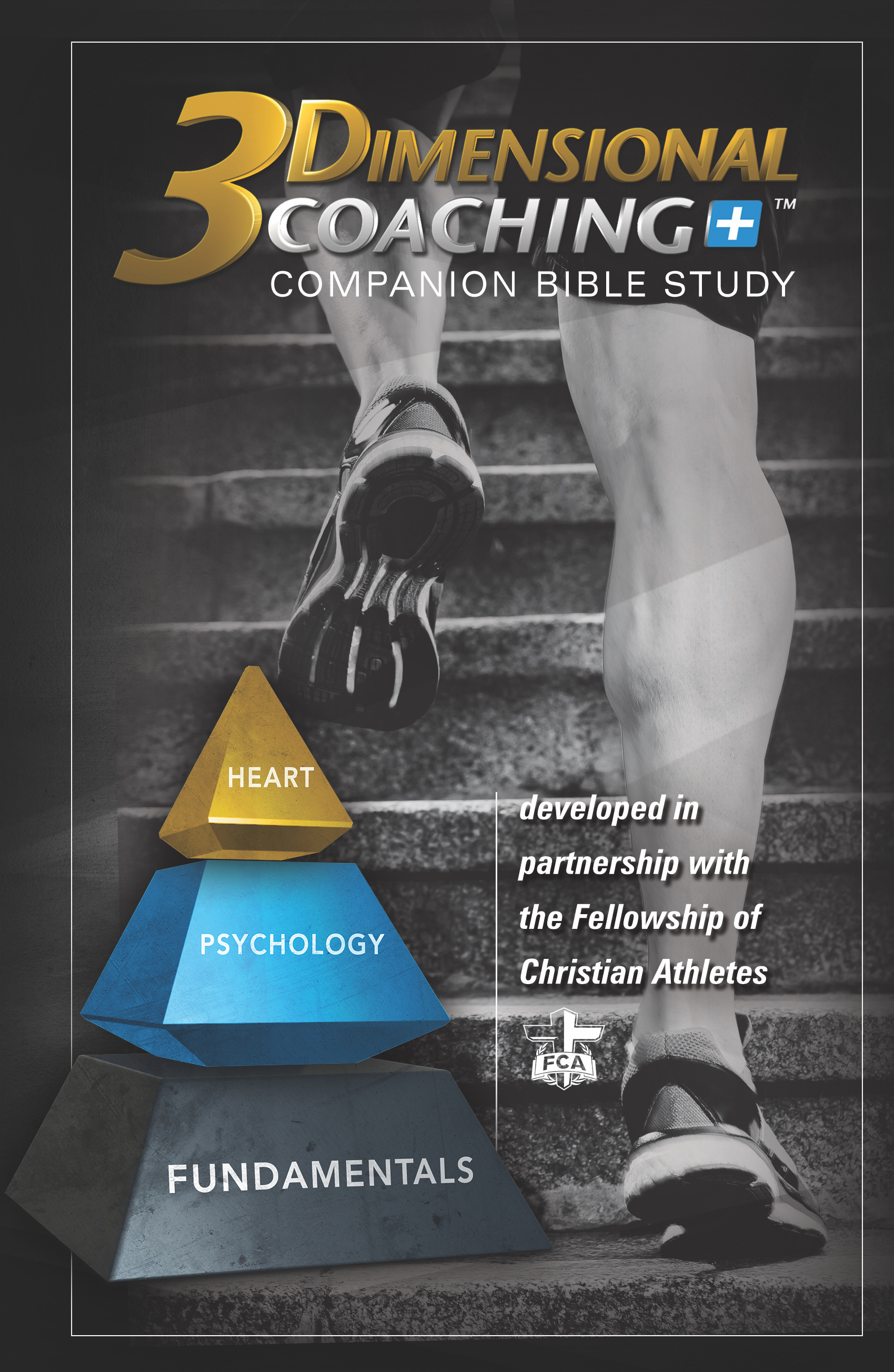 3D Bible Study.jpg