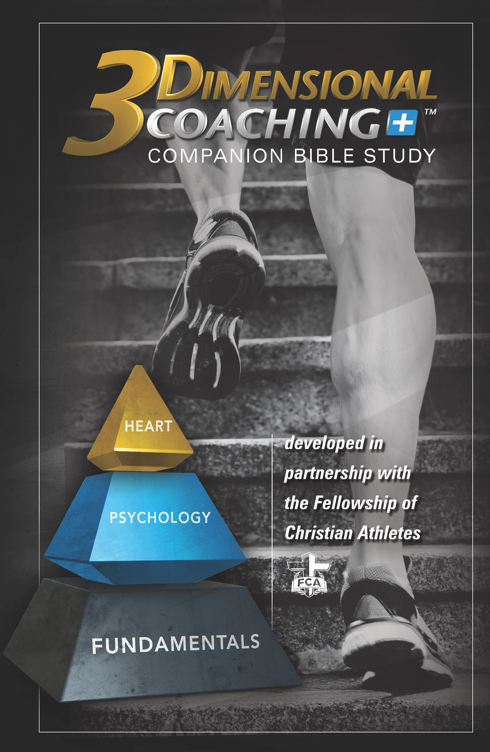 3D Bible Study.jpg