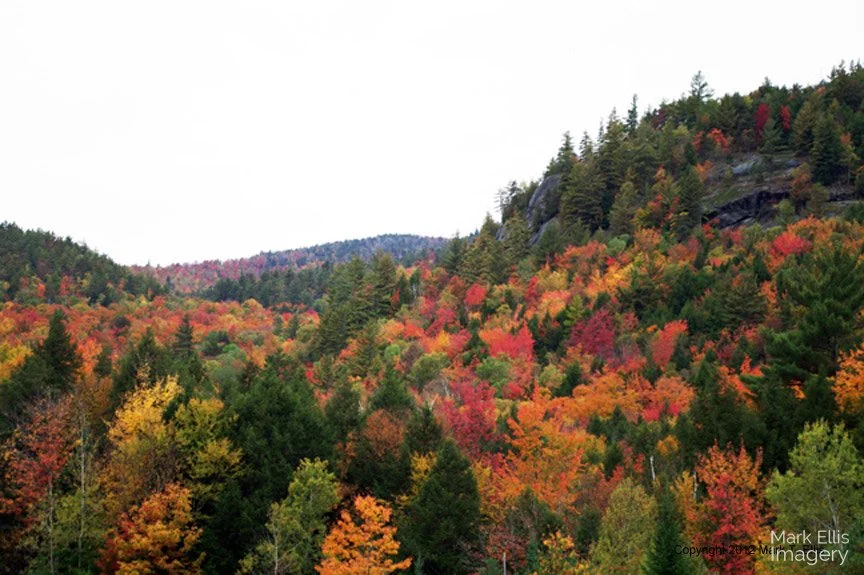 HillsidePalette.jpg