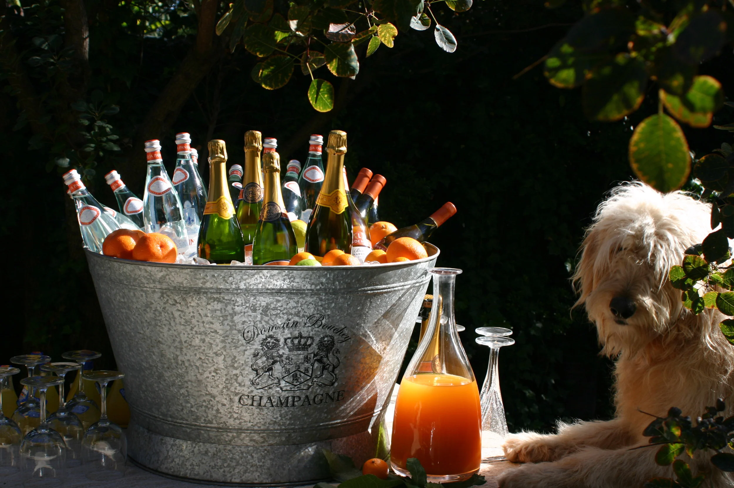 2013 summer atlanta ad picture.jpg