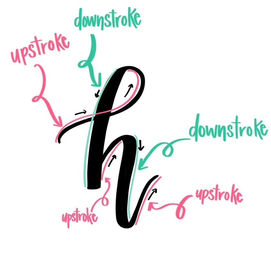 Modern Calligraphy Upstrokes and Downstrokes — ECLetters Maryland