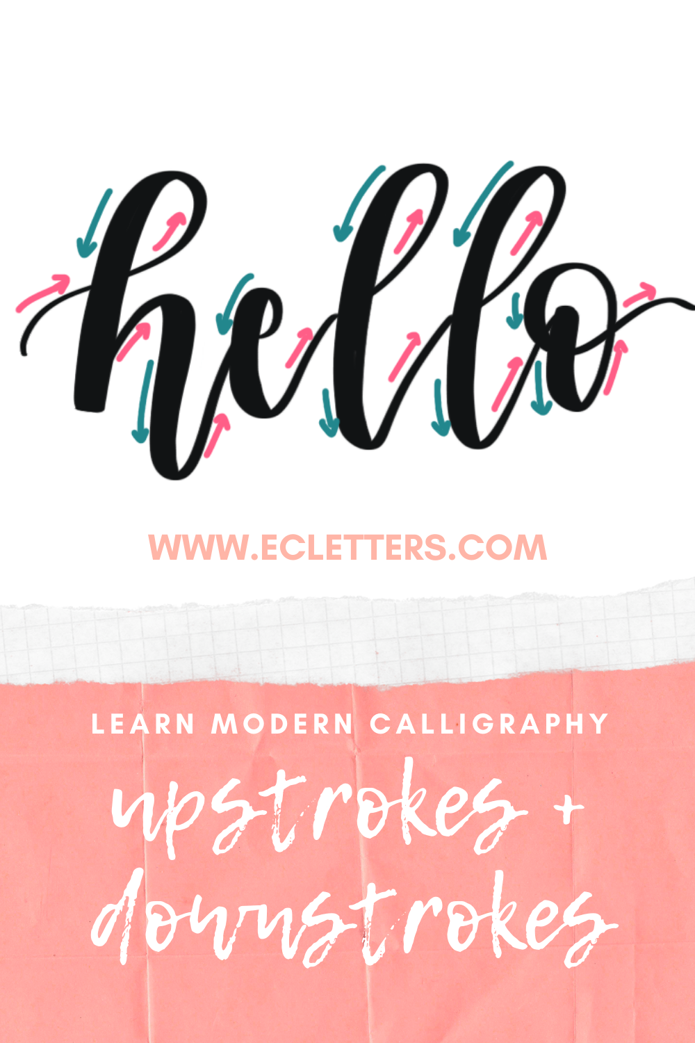 Modern Calligraphy Upstrokes and Downstrokes — ECLetters Maryland