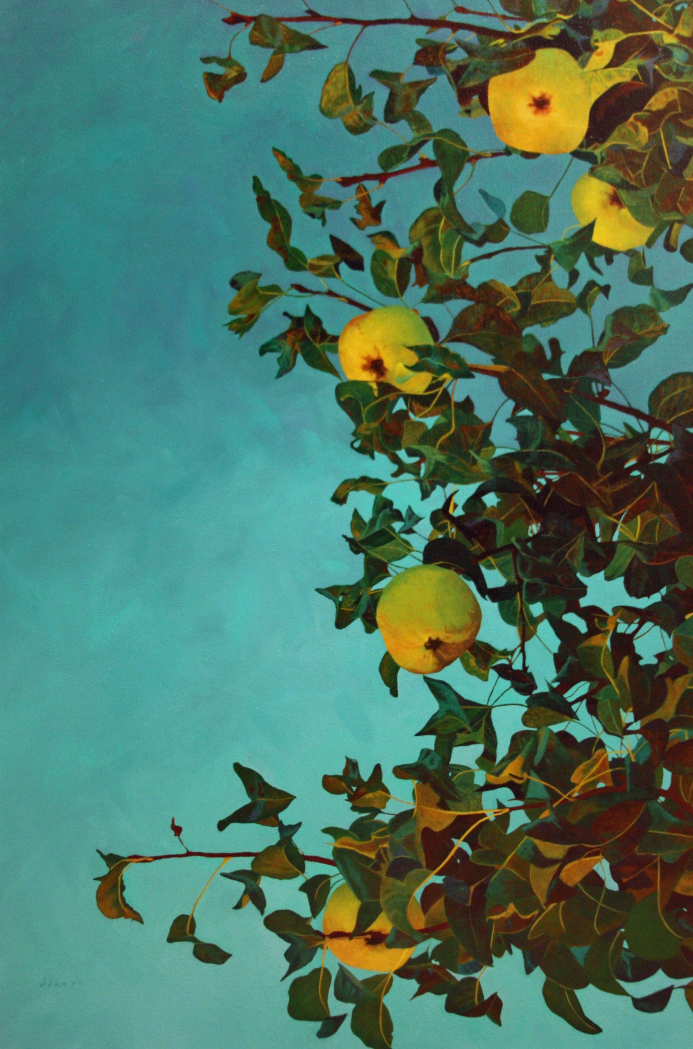 In Abundance, 36" x 30" Oil on Canvas